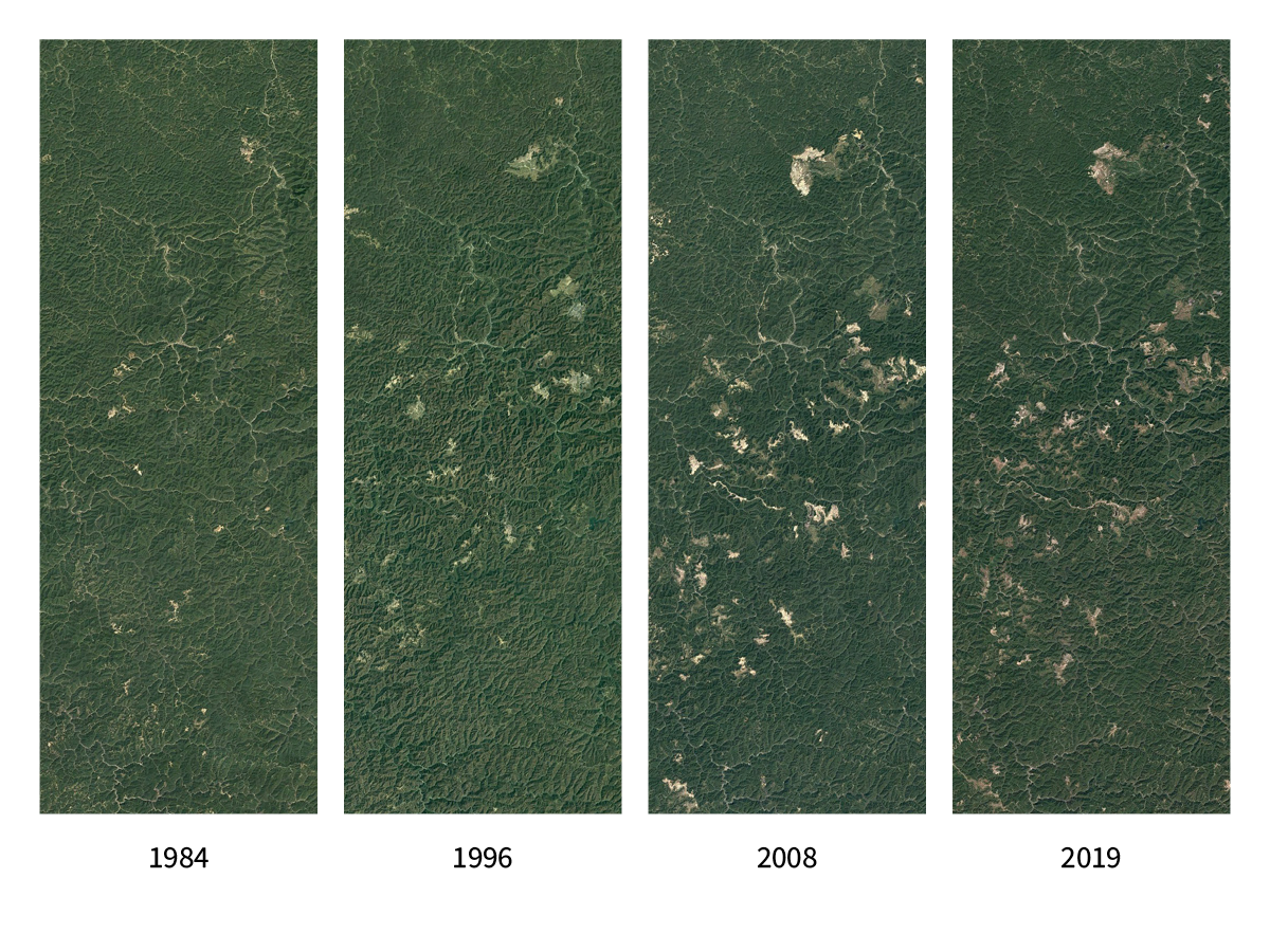 Four aerial images showing increased intensity of strip mining from 1984 to 2019