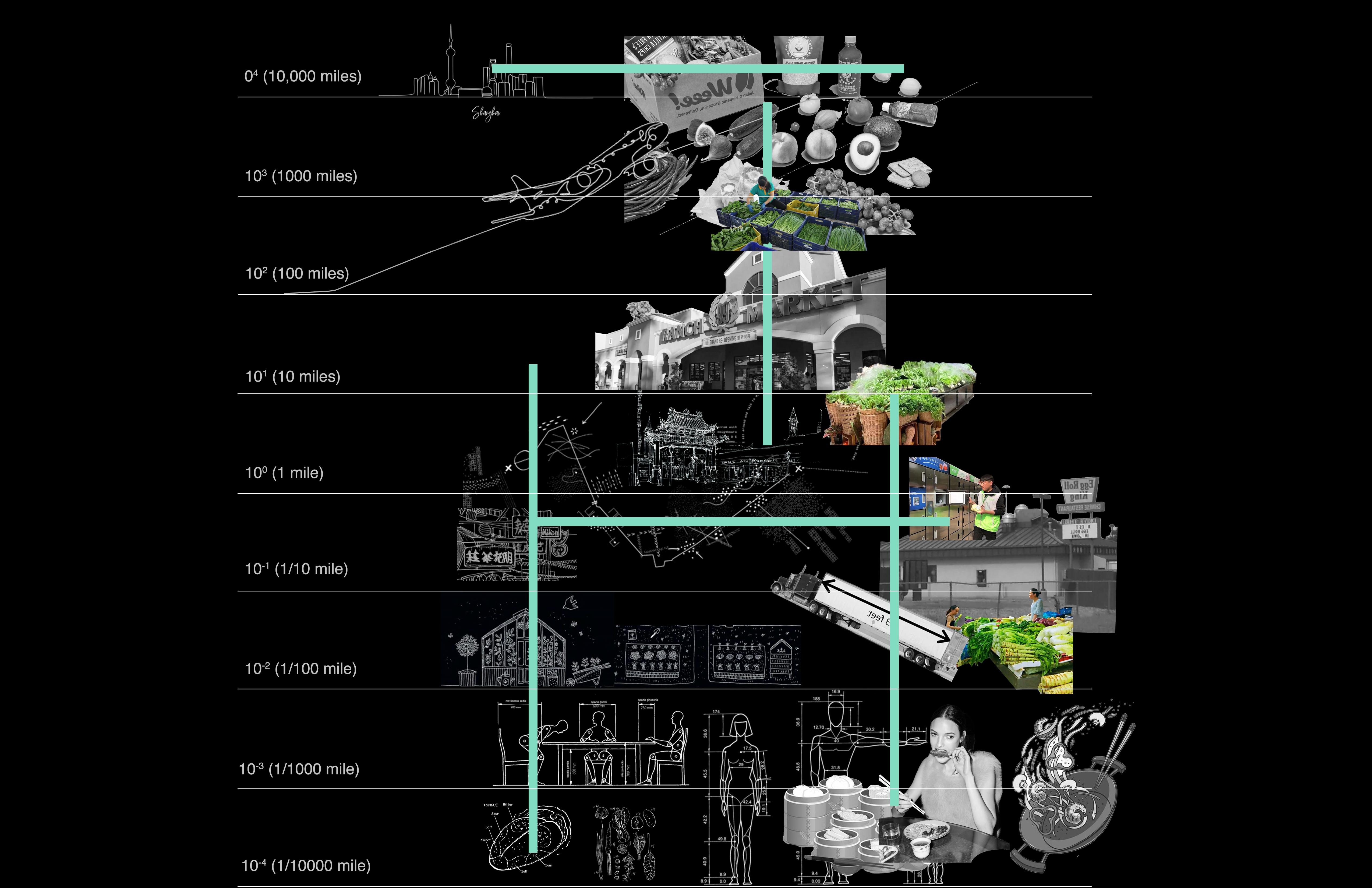 Analyzing that our cognition of food is limited by the mode of transportation on different spatial scales, the Chinese Market has become the core site.