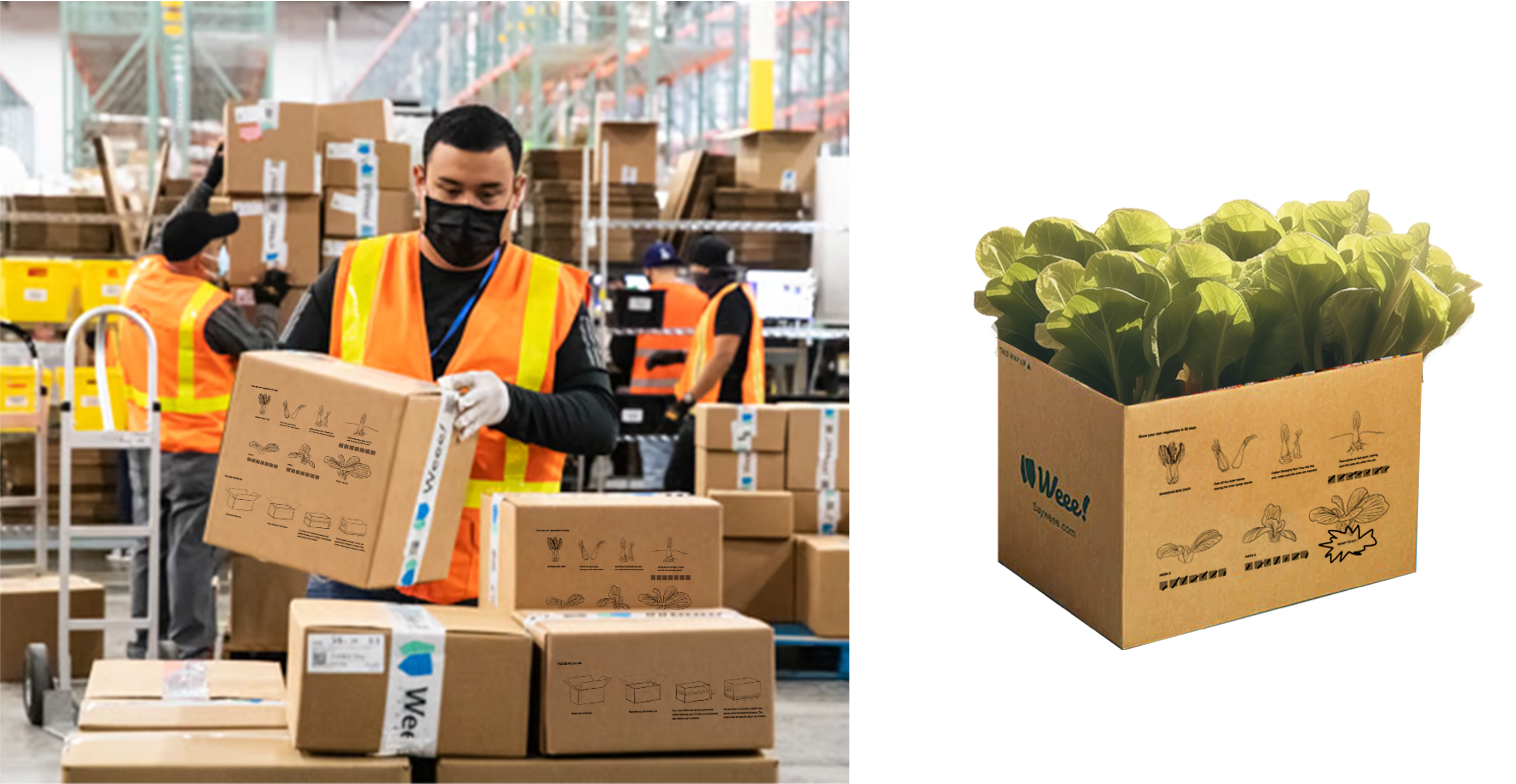 Vegetables should be grown in simpler and more diverse ways.
