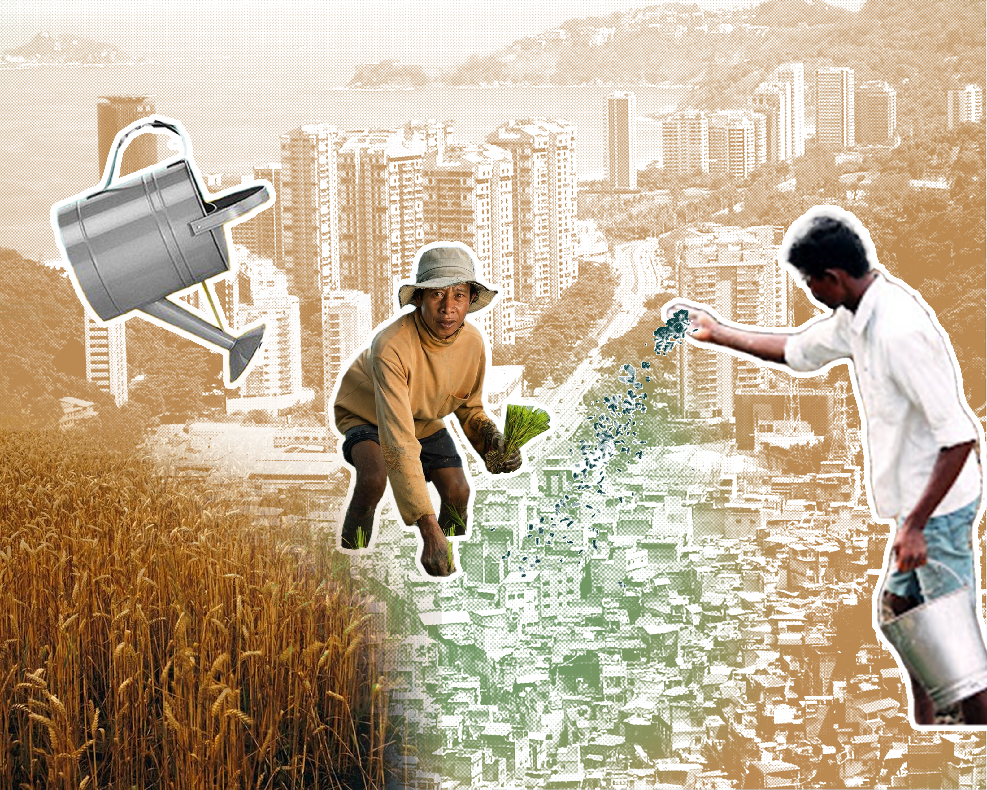 Urban agriculture brings more potential and vitality to Favelas.