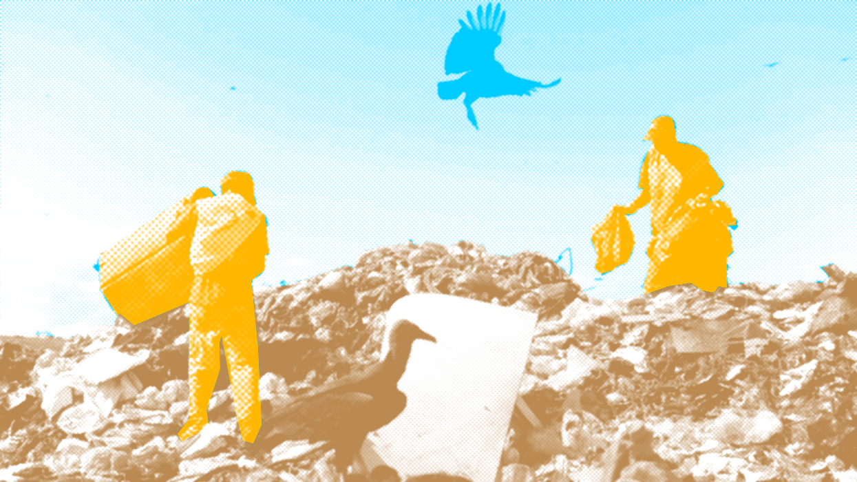  Waste pickers are responsible for around 90% of recycling in Brazil. Despite their invisibility, they perform an essential service for the sustainability and health of Brazil.