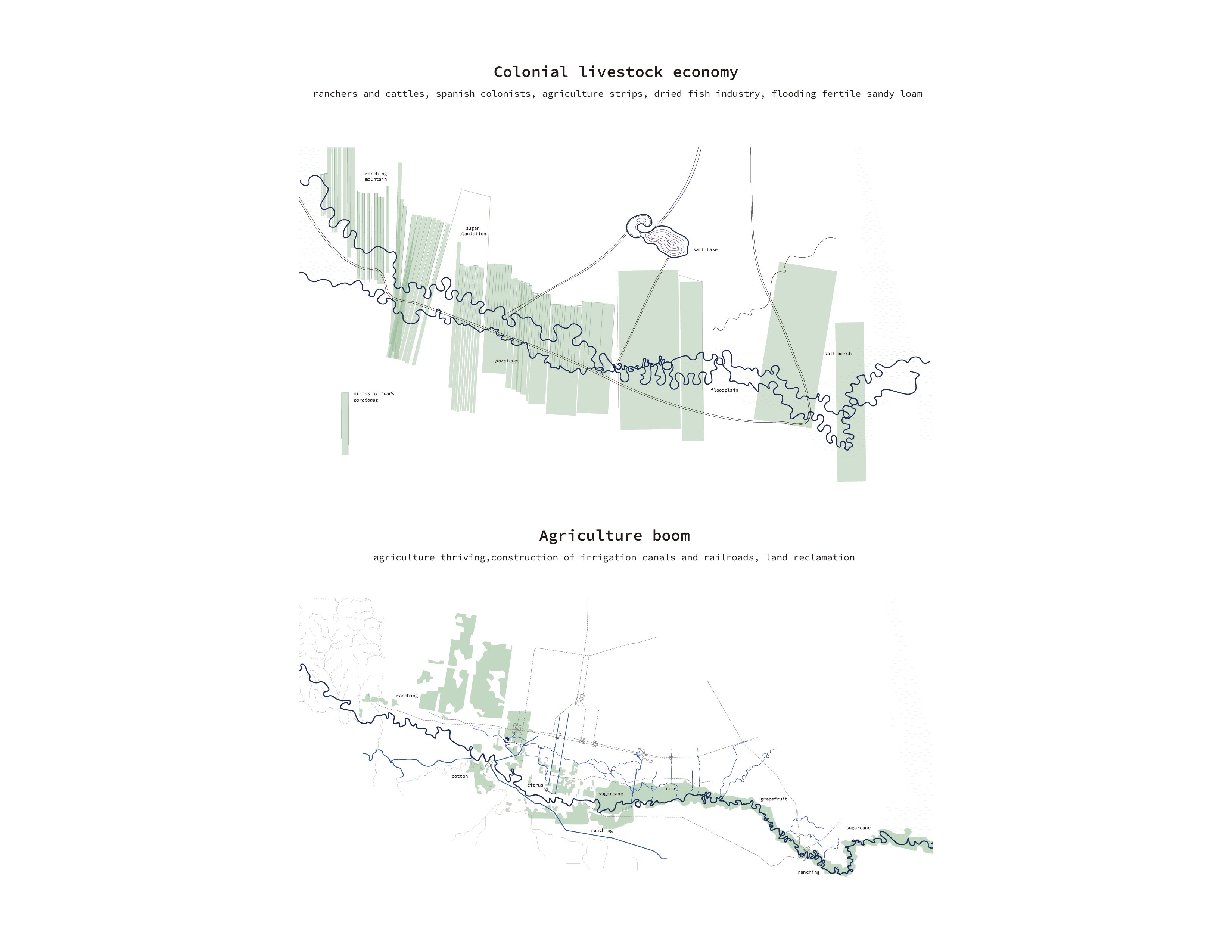 From colonial economy to agriculture- The loss of pristine native habitats 