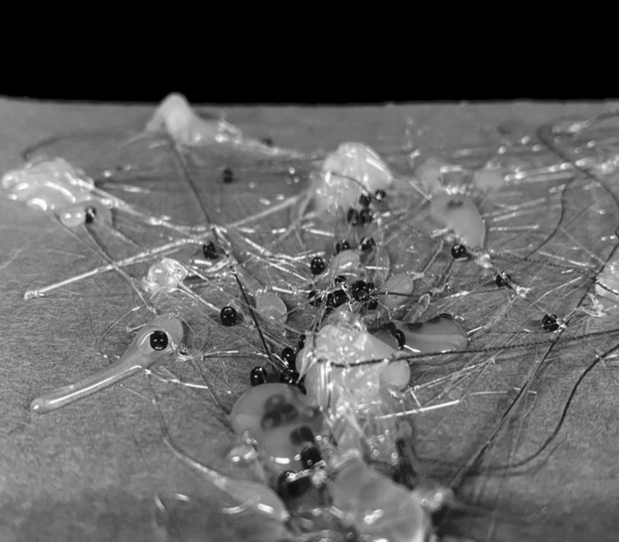 “HOME & ROOTEDNESS” Explore the relationships and connections between different territories, but also the way relationships between different clusters are constructed: landscape corridors? Settlement patterns? Flexible infrastructure? Or spiritual links,what exactly can be called home and what are their roots? Do nomads have to drift all the time?