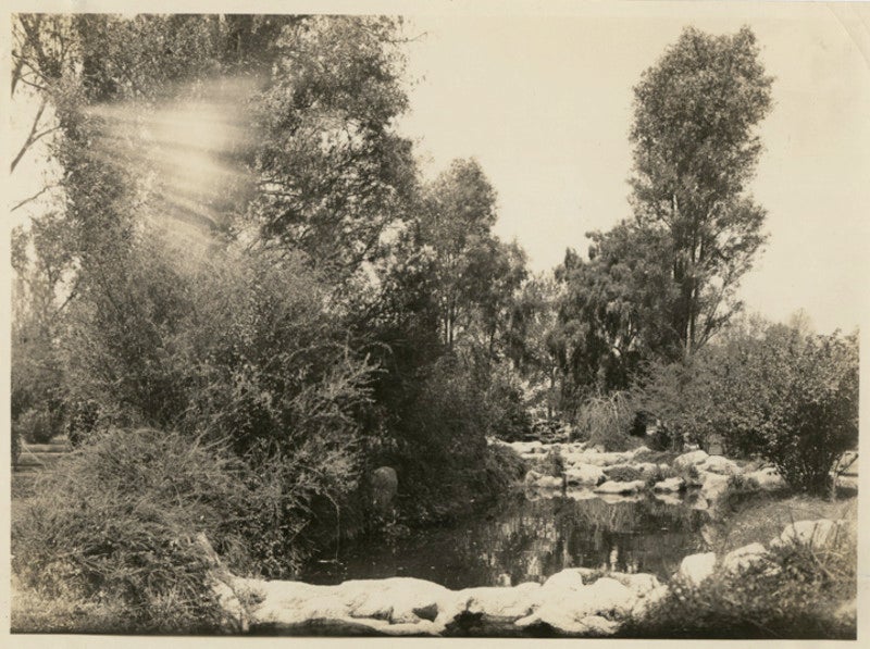 Trees, rocks, and large boulders encircle a small lagoon. 