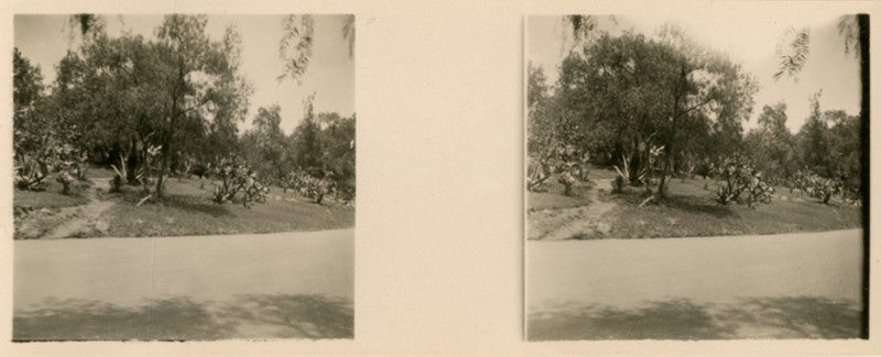 Two side-by-side images show the edges of a garden landscape.