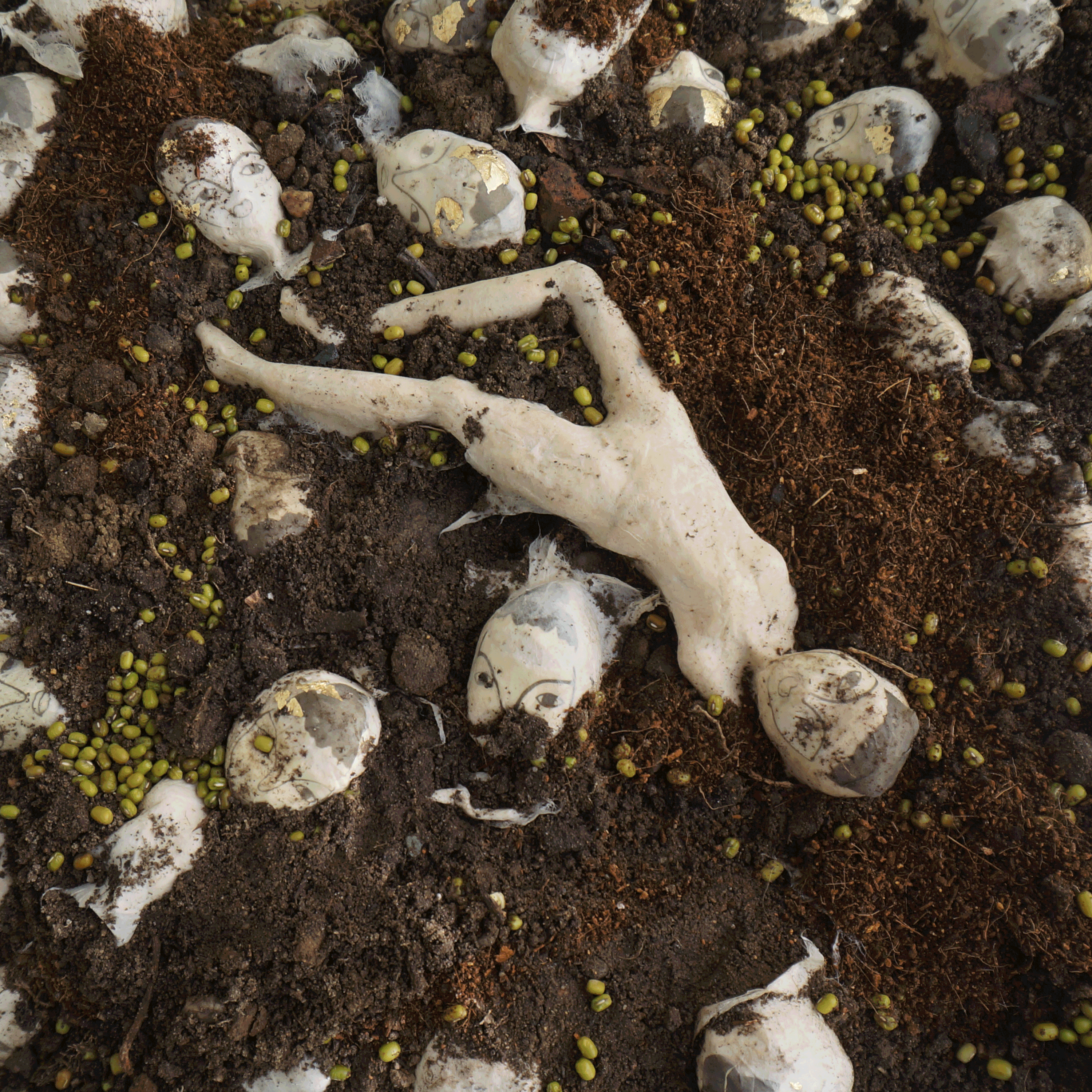 It is as though we have a bird’s eye view of fallen Nariphon on the ground, rotting. After the decay, new life emerges.  