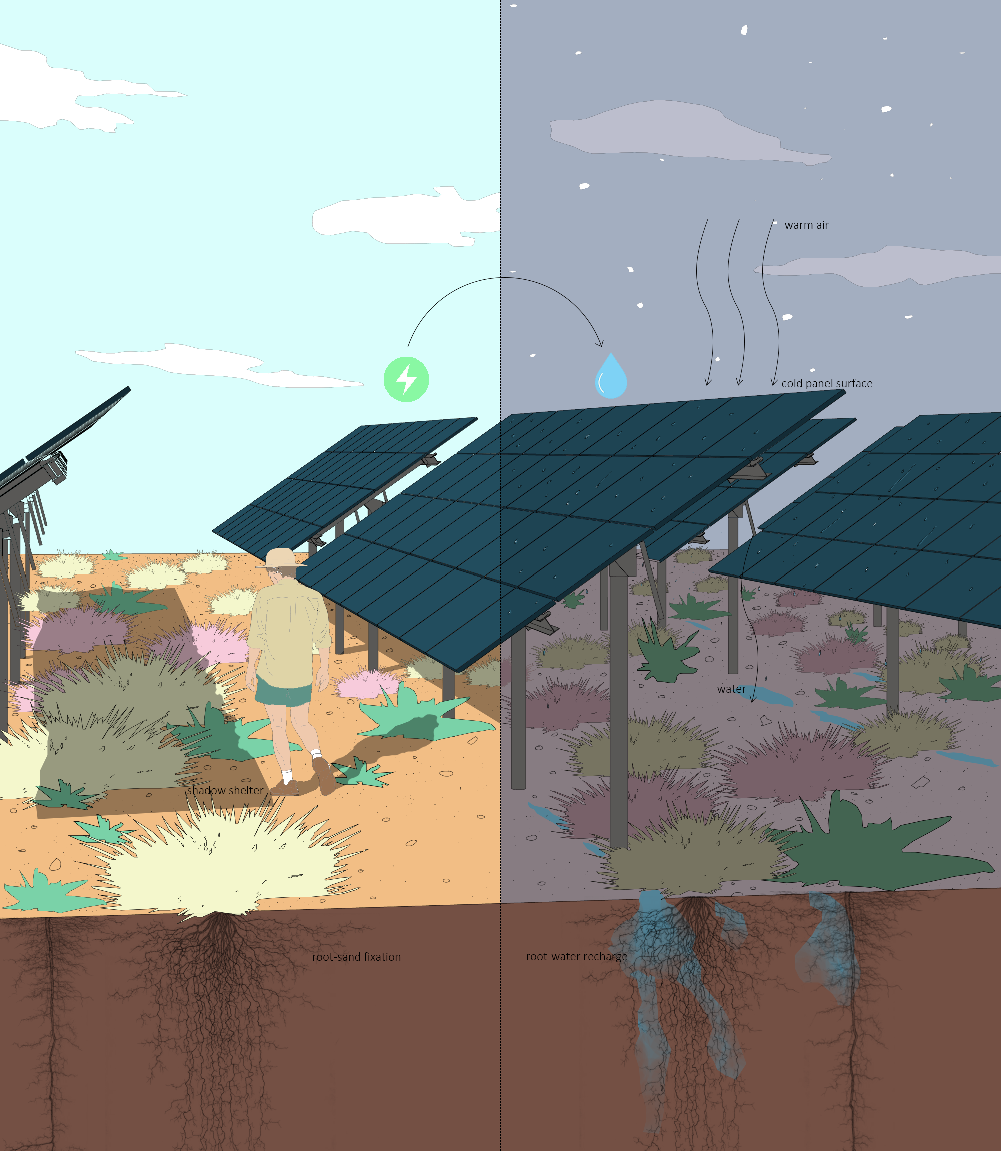 Eloy, located in the desert, has abundant solar energy resources and vast land, making it ideal for the development of clean energy. One way to maximize the use of this land is to create a microclimate for native plants using solar panels. By using the shade provided by the panels, shade-loving shrubs can be planted underneath them. Additionally, the solar panels can collect dew in the air at night, and the water can flow along the panels to the roots of the plants, making it easier for them to access water