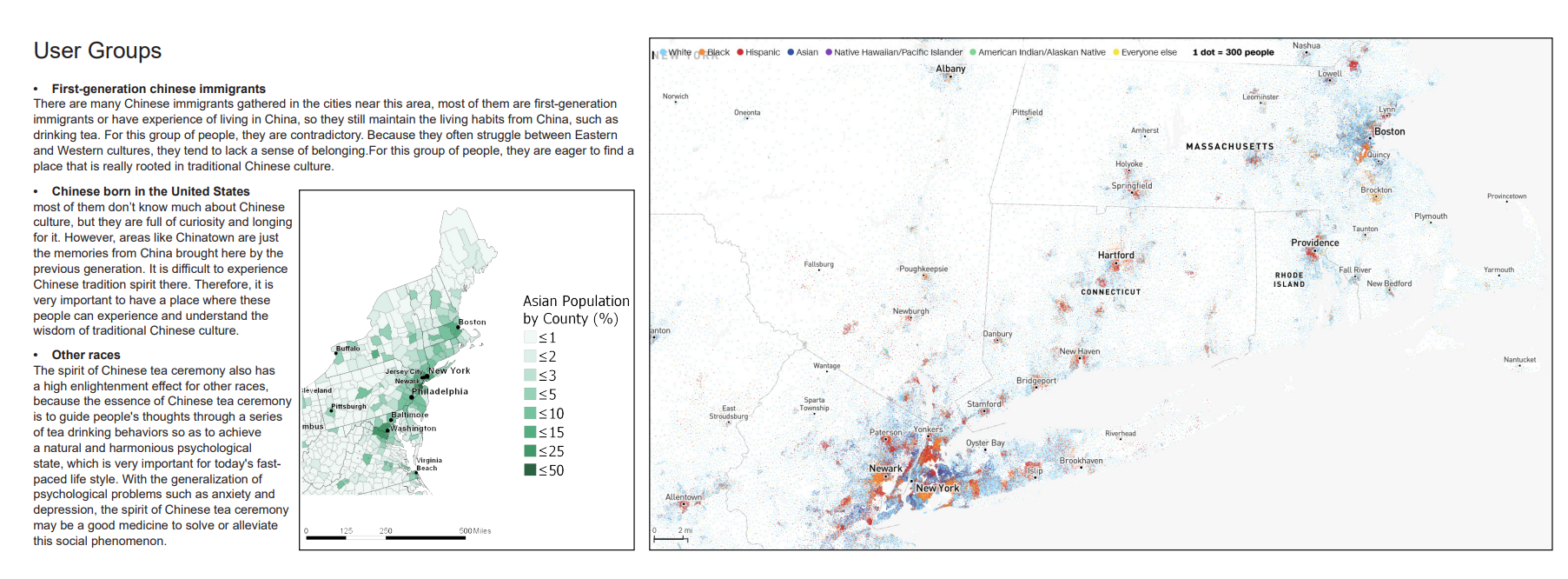 Asian including Chinese and other races population on east coast.