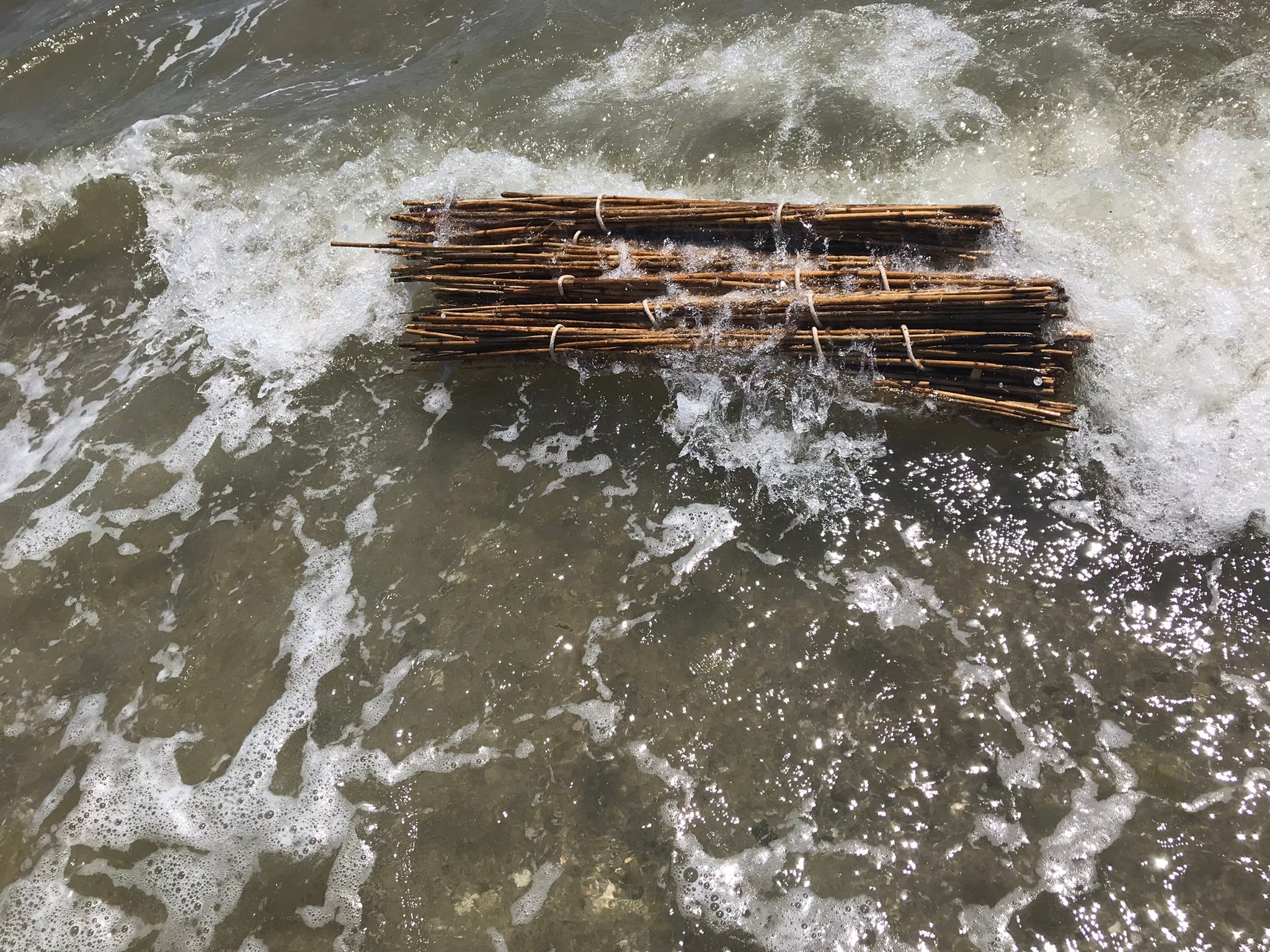 Phragmite bundles in the current.