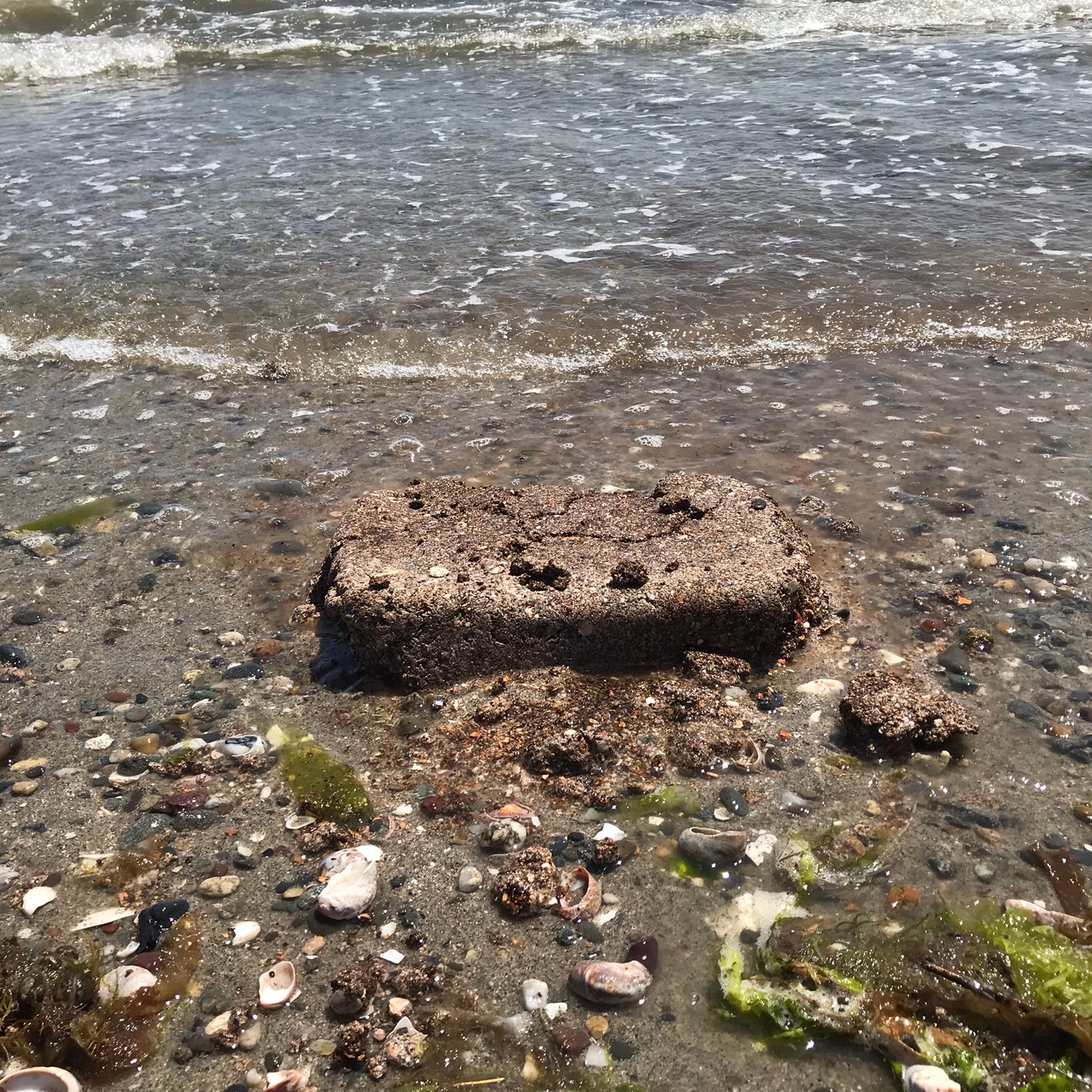 Image of crushed shell material form in the sand at the beach.