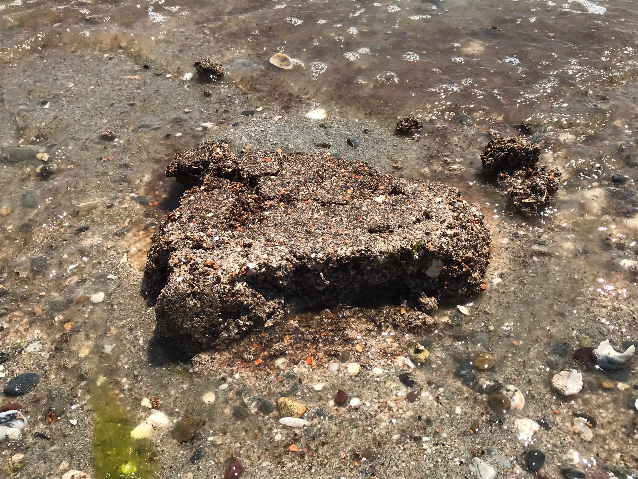 Image of crushed shell material mound on sand at a beach