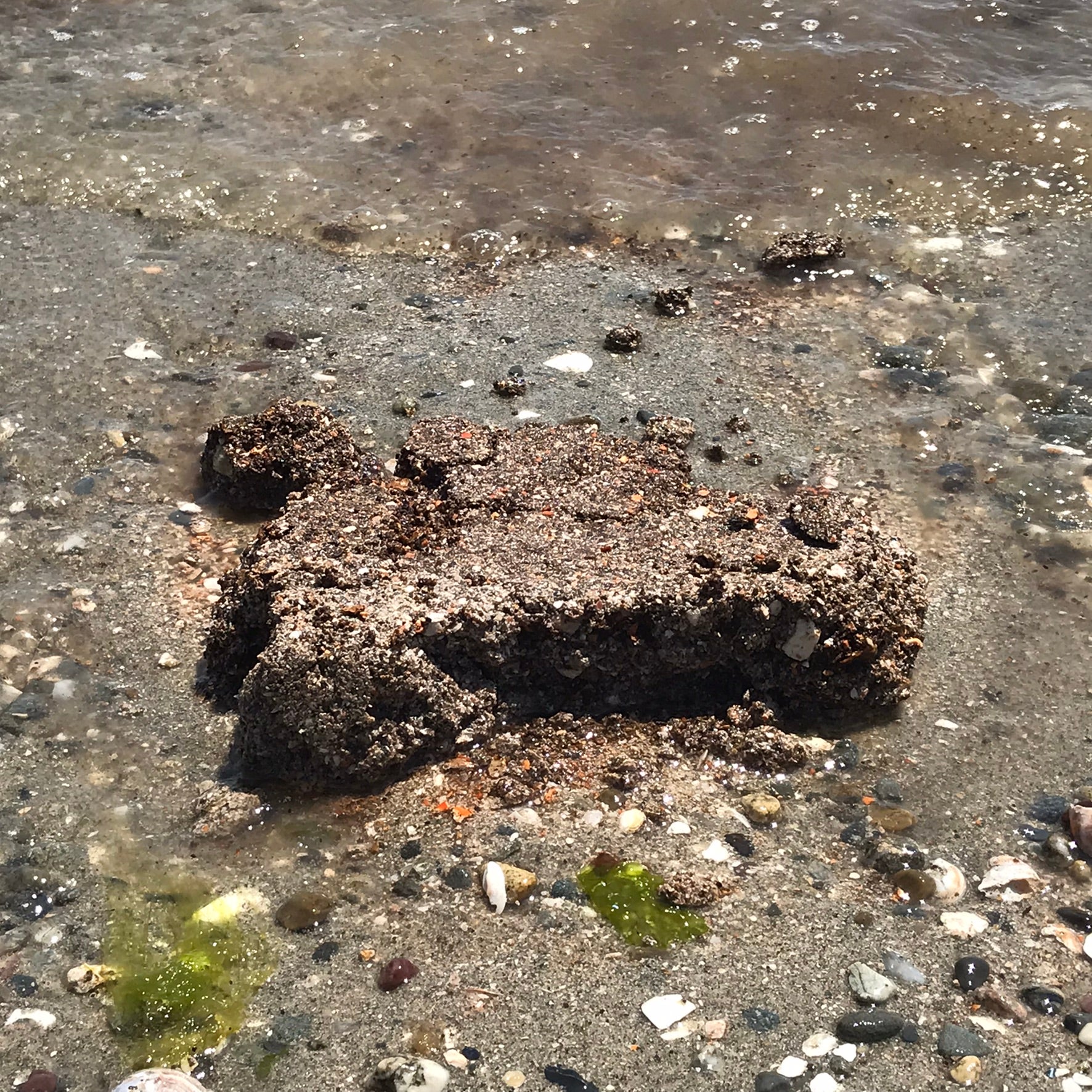 Image of crushed shell material mound on sand at a beach
