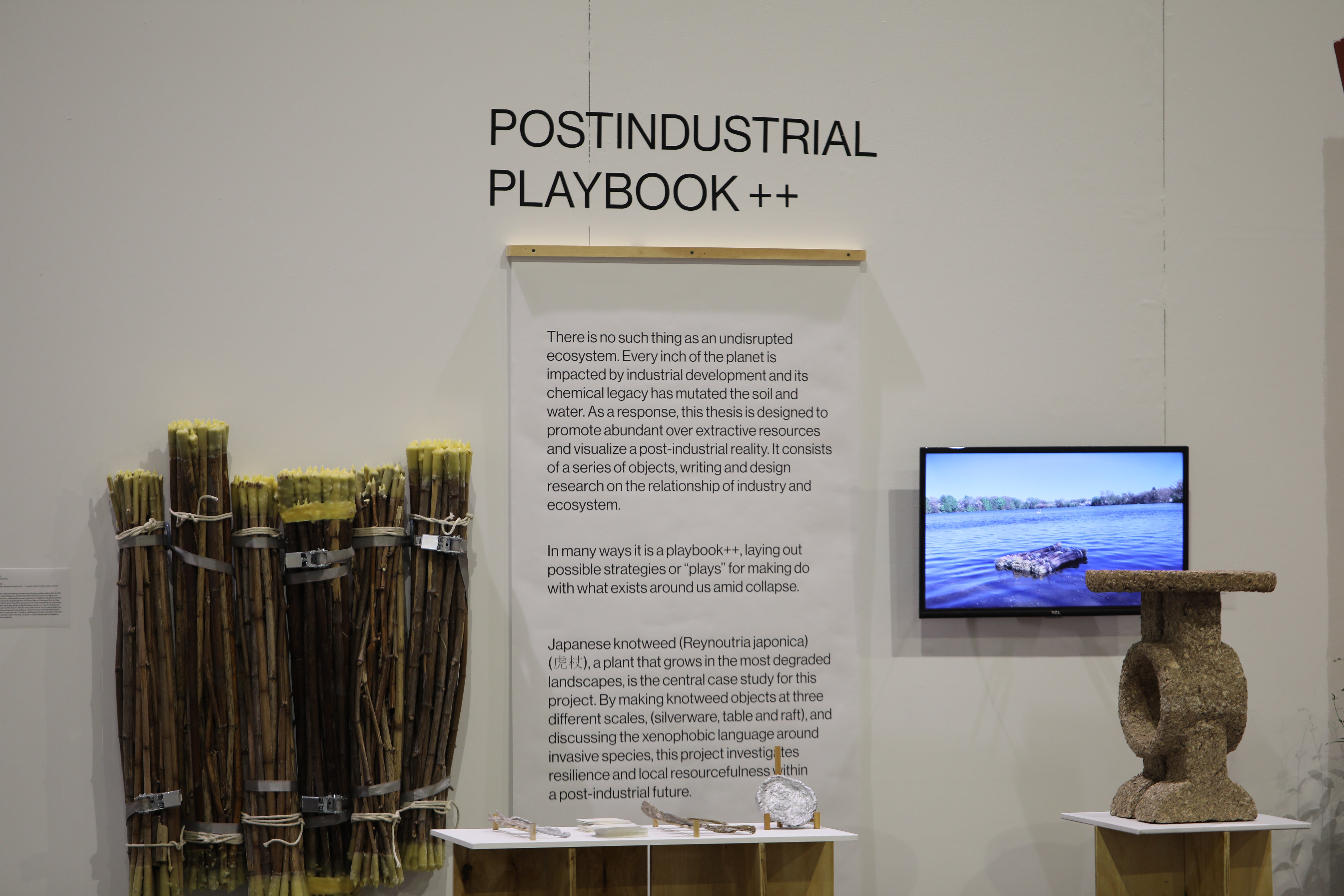 Installation view