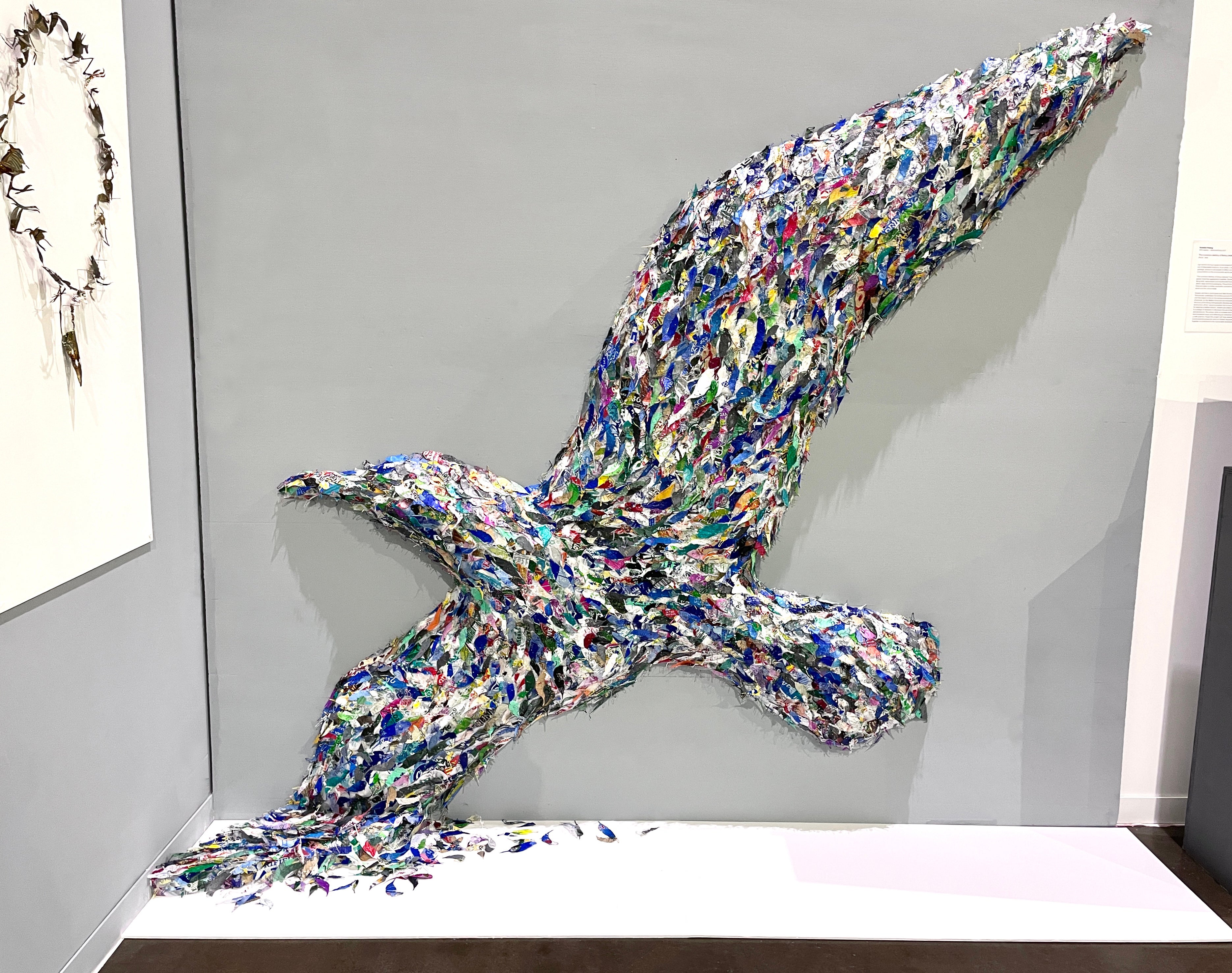 The complete picture of a bird shape