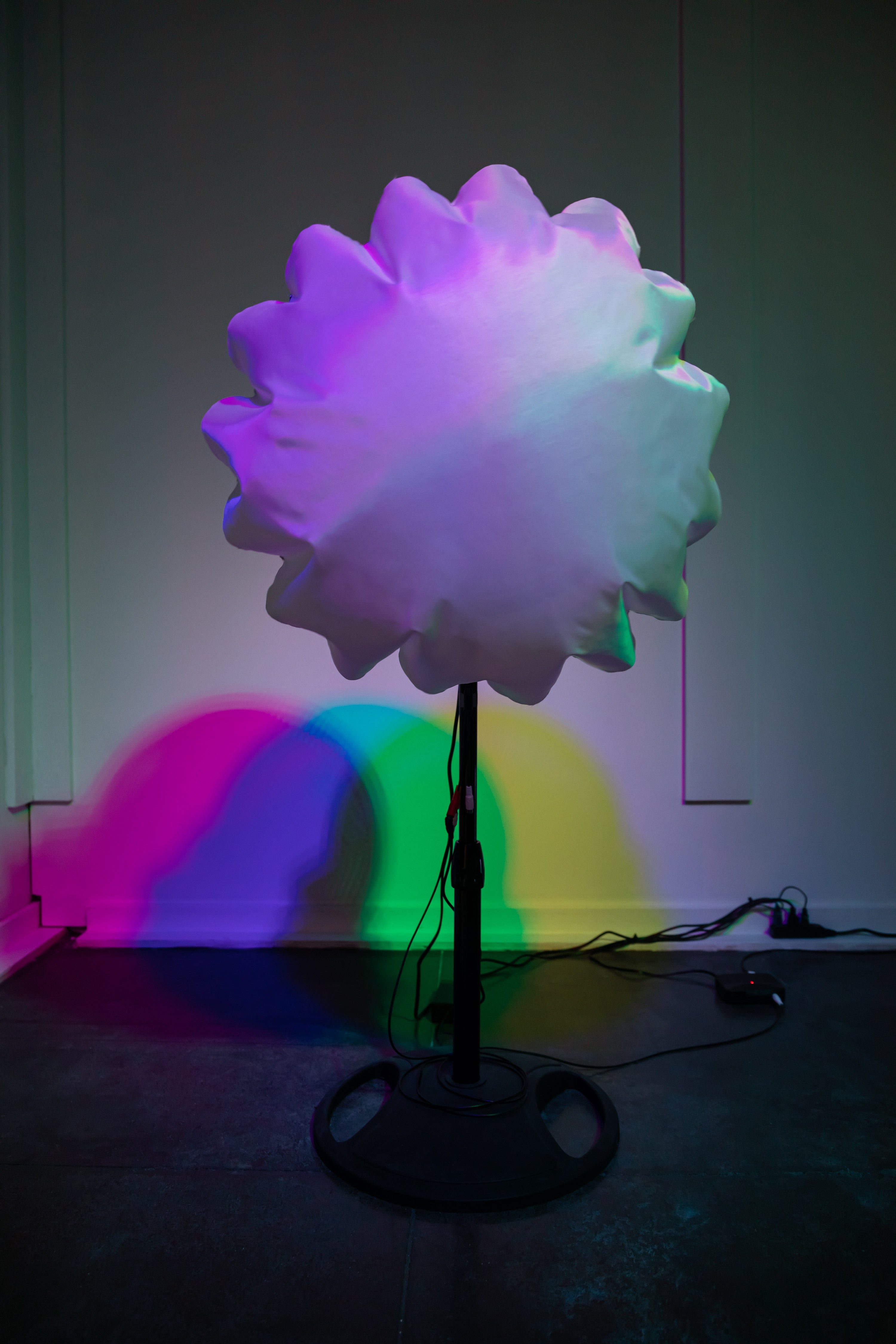White fabric is attached to a fan and being blown up under colorful light.