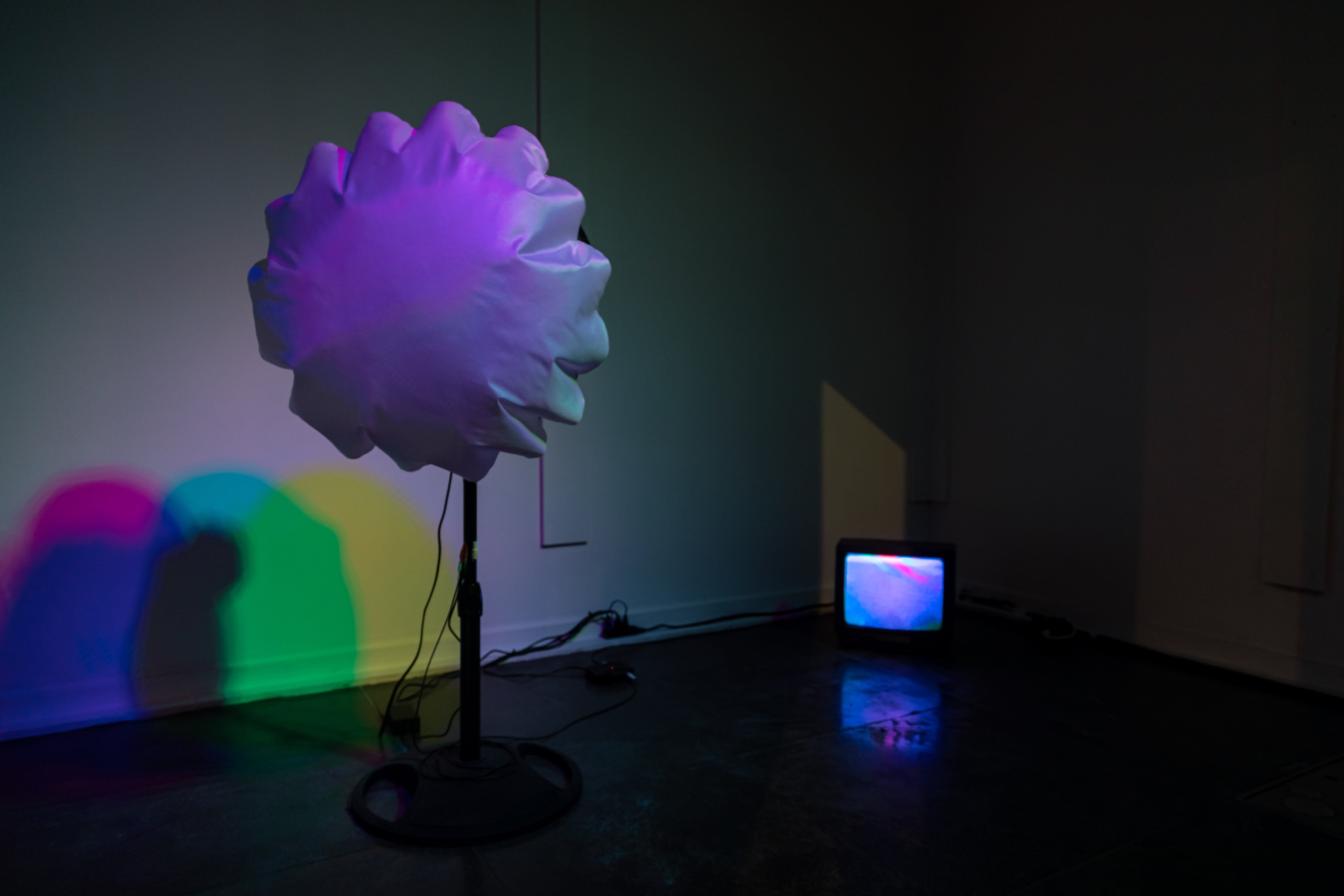 White fabric is attached to a fan and being blown up under colorful light.