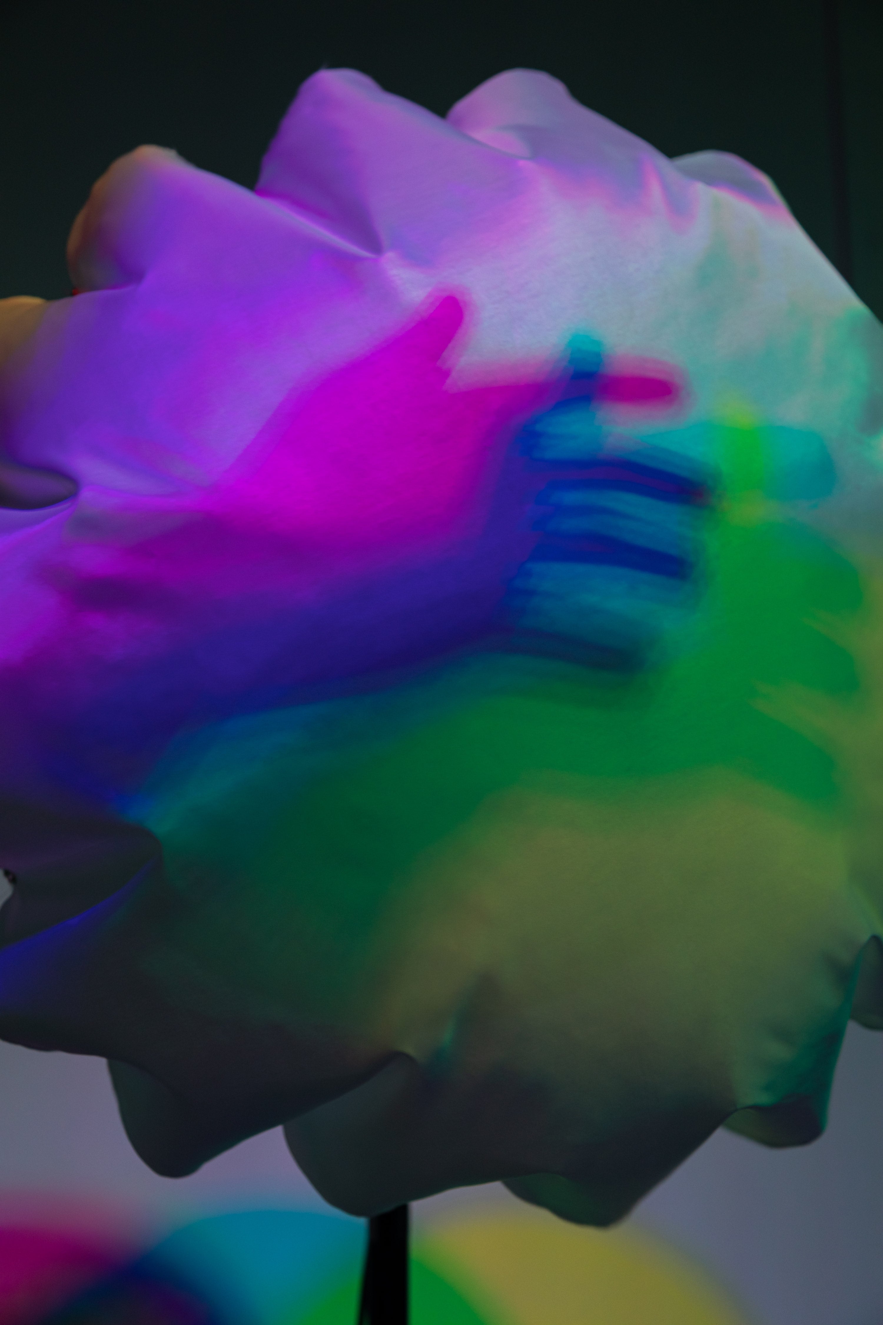 A person interacting with the work.