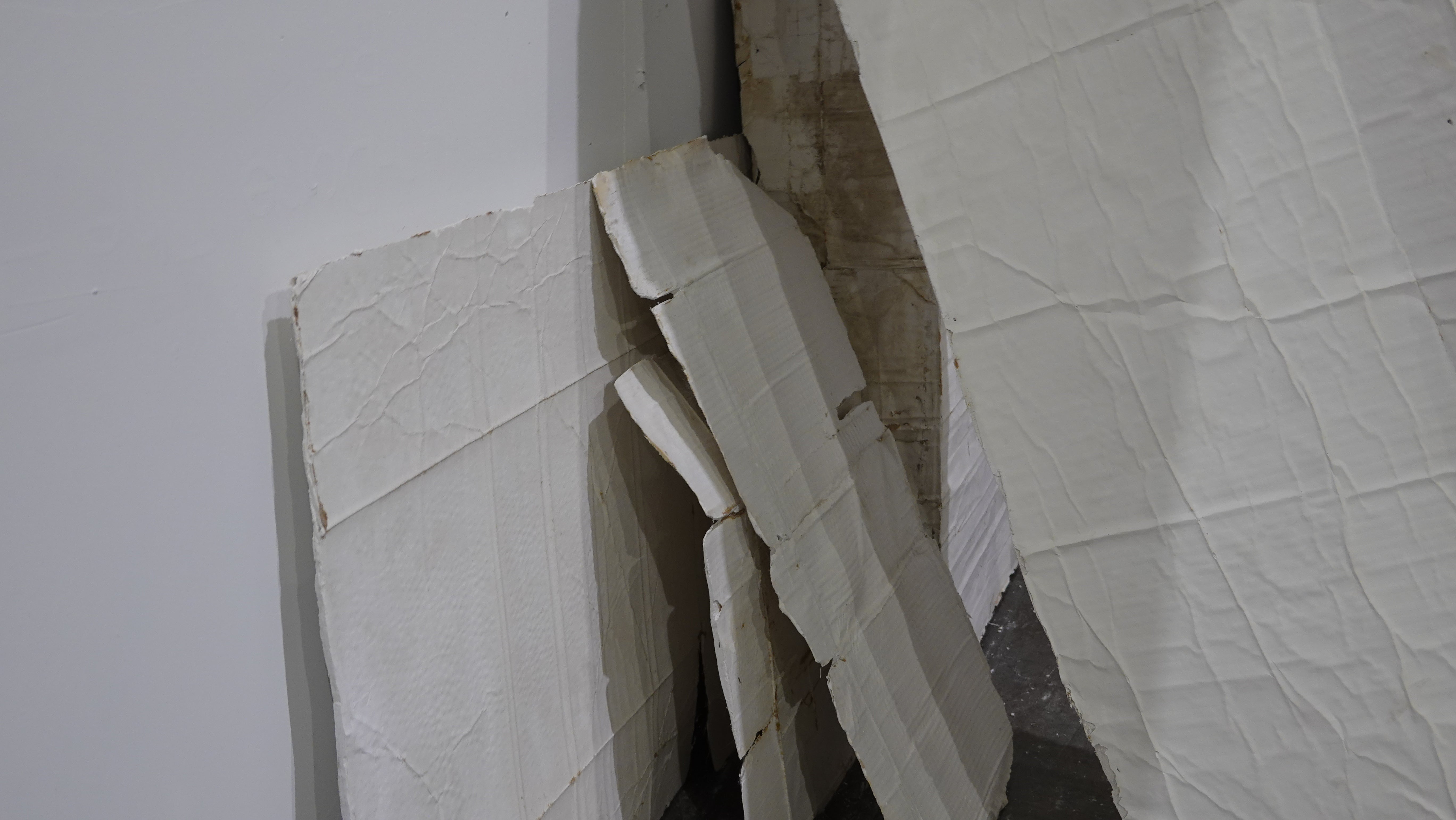 Cast cardboard