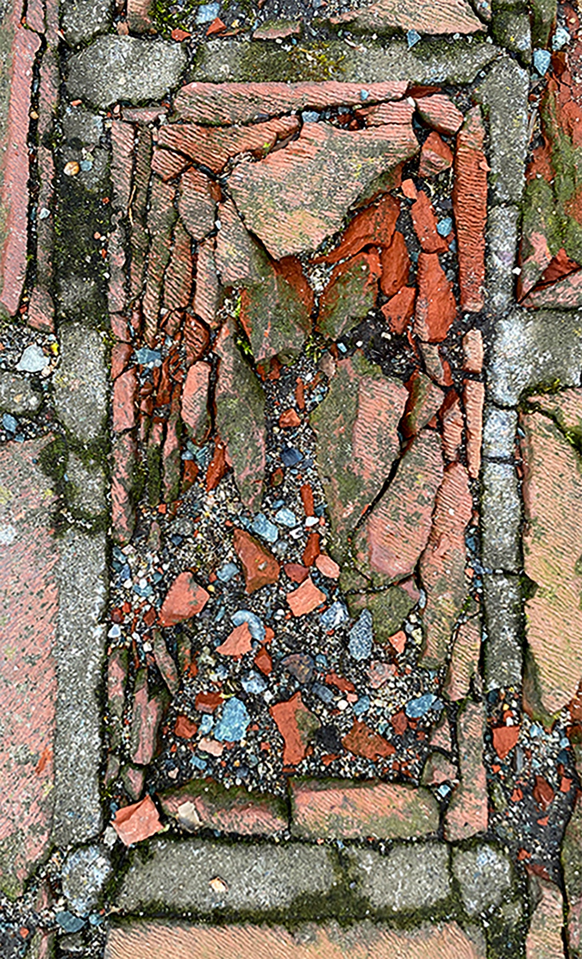 /Photograph%20of%20a%20brick%20in%20bird%27s-eye%20view.%20Because%20of%20adjacent%20roots%2C%20the%20brick%20is%20breaking%20apart