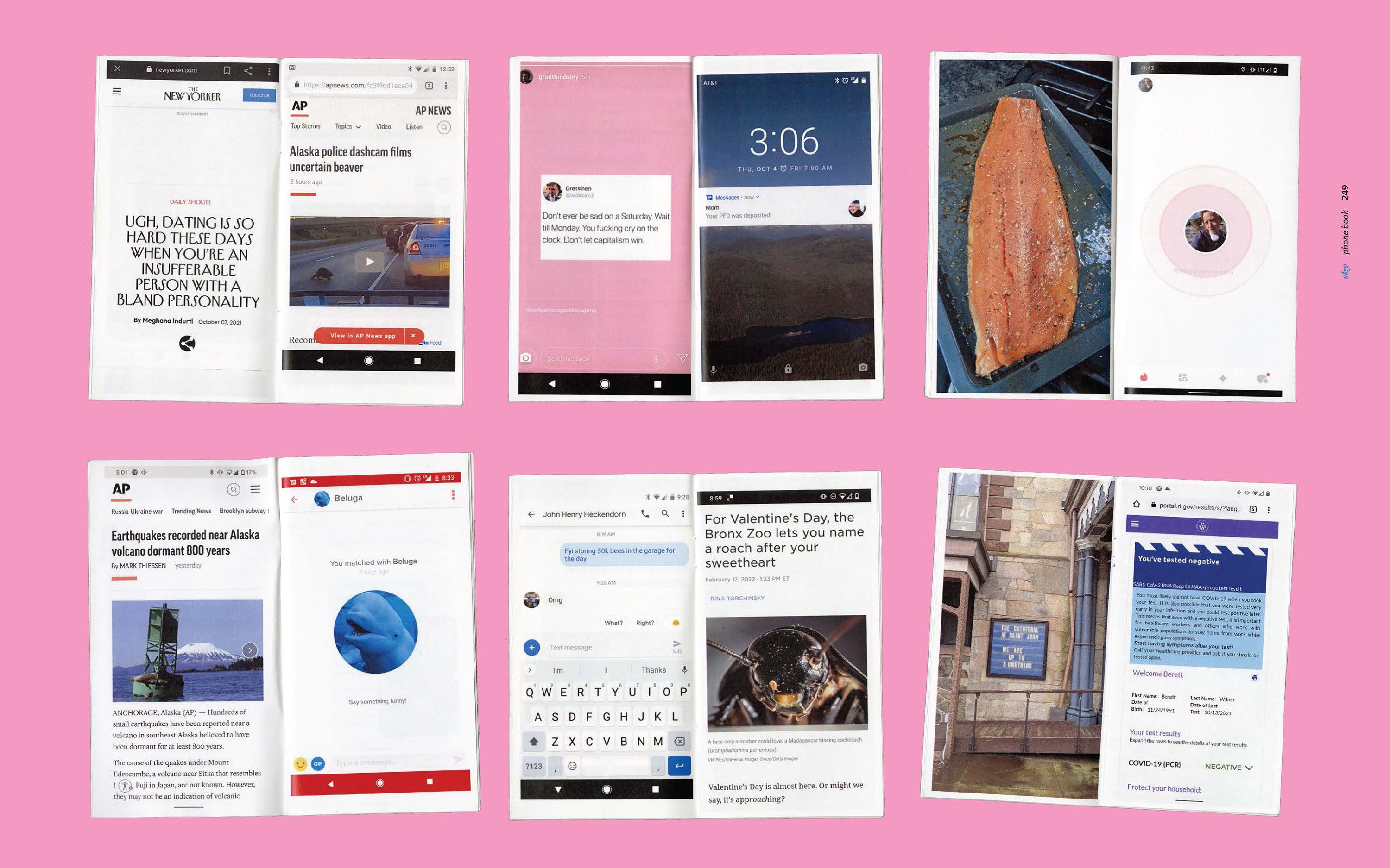 /A%20phone-sized%20photobook%20using%20only%20images%20curated%20from%20Berett%20Wilber%27s%20screenshot%20folder