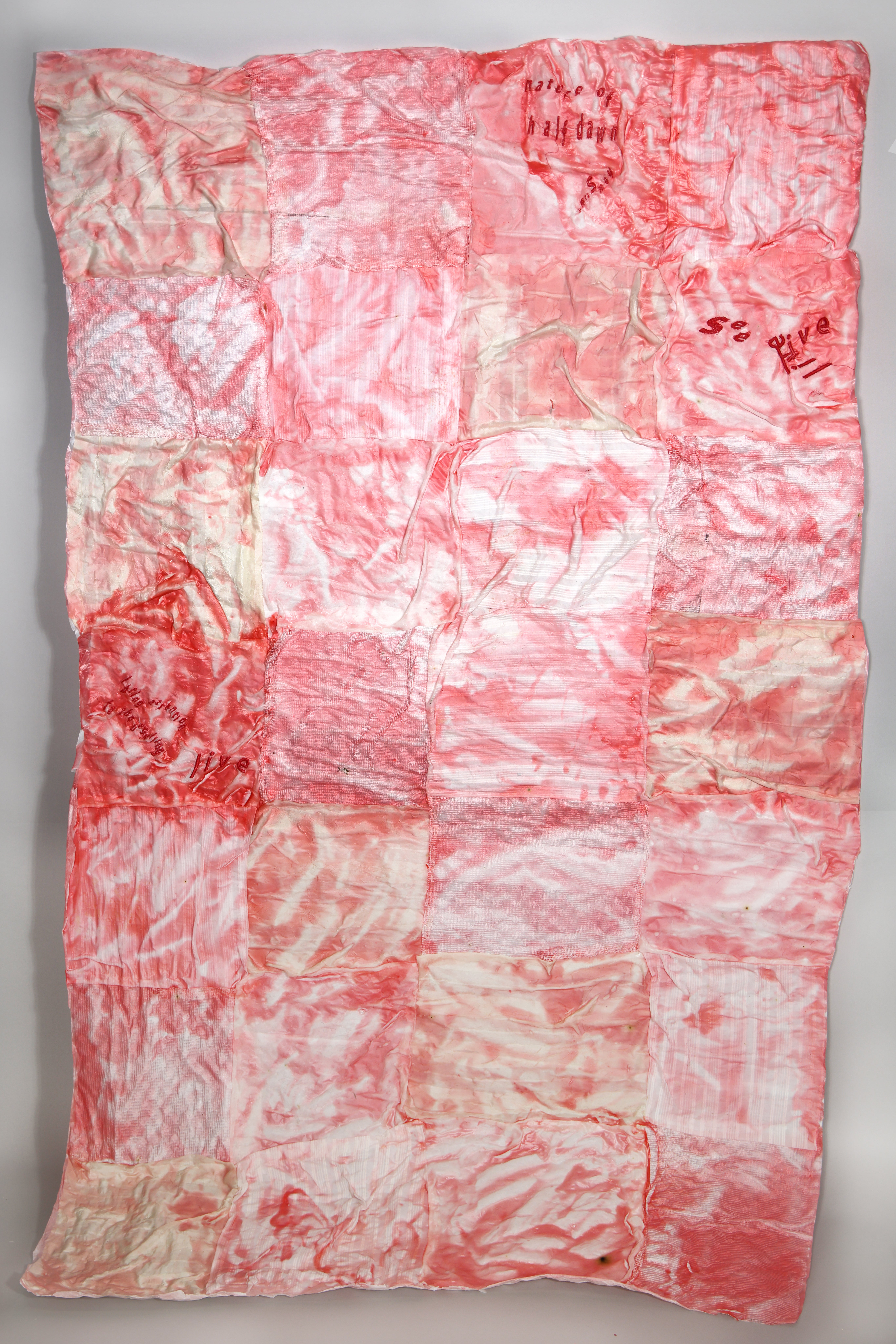/a%20cotton%20quilt%20with%20a%20red%2C%20plastic%20film%20and%20embroidered%20text%20over%20it%20reading%20%22%20Nature%20of%20Half%20Dawn.%22