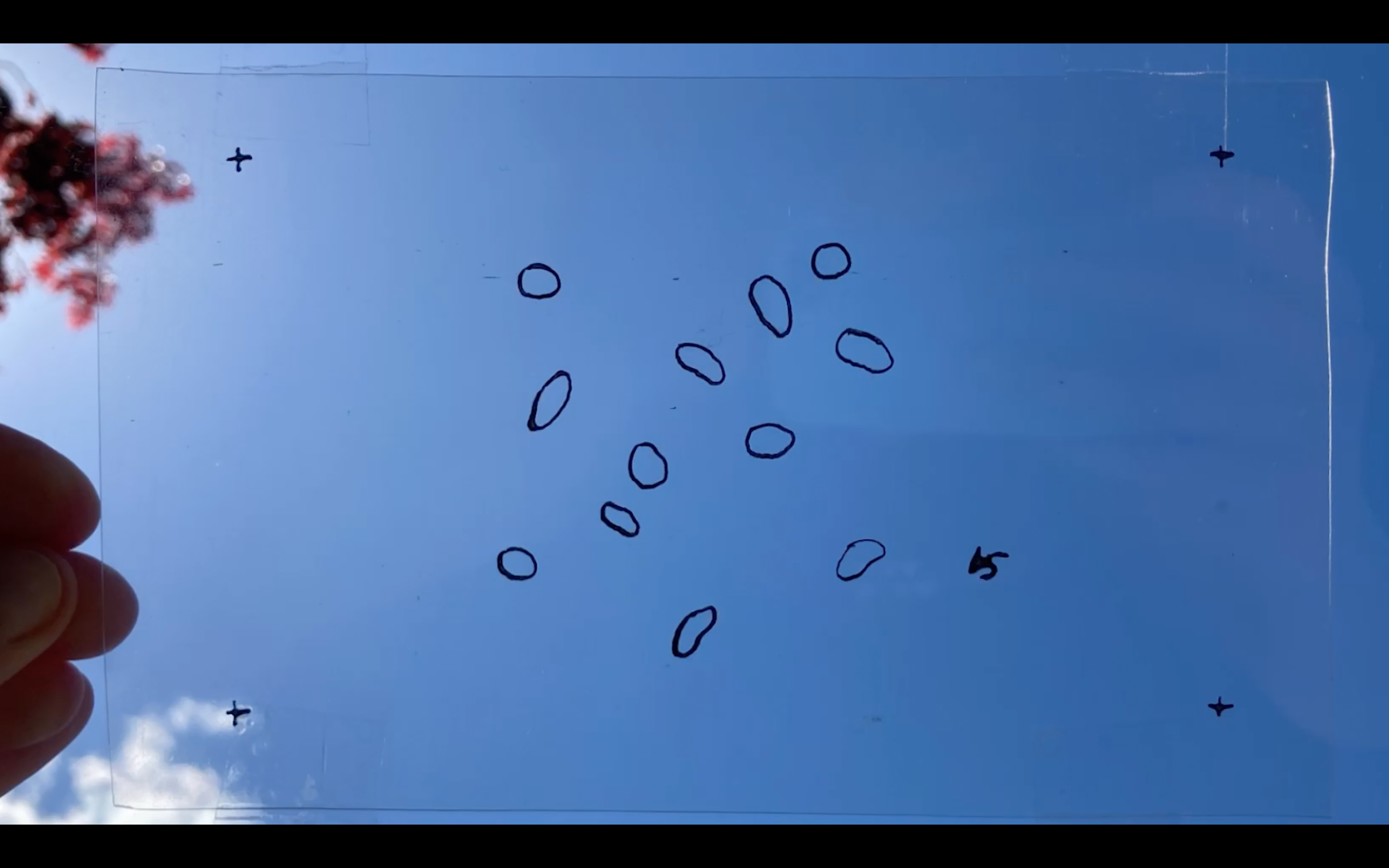/Small%20ink%20blobs%20are%20drawn%20on%20transparency%20and%20held%20up%20against%20a%20blue%20sky.%20There%20is%20a%20white%20cloud%20in%20one%20corner%20and%20red%20maple%20leaves%20in%20another.%20Fingers%20are%20visible%20holding%20the%20piece.
