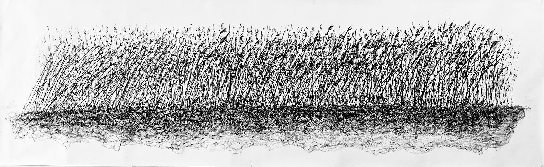 /A%20large%20charcoal%20drawing%20of%20a%20wave%20of%20Phragmites