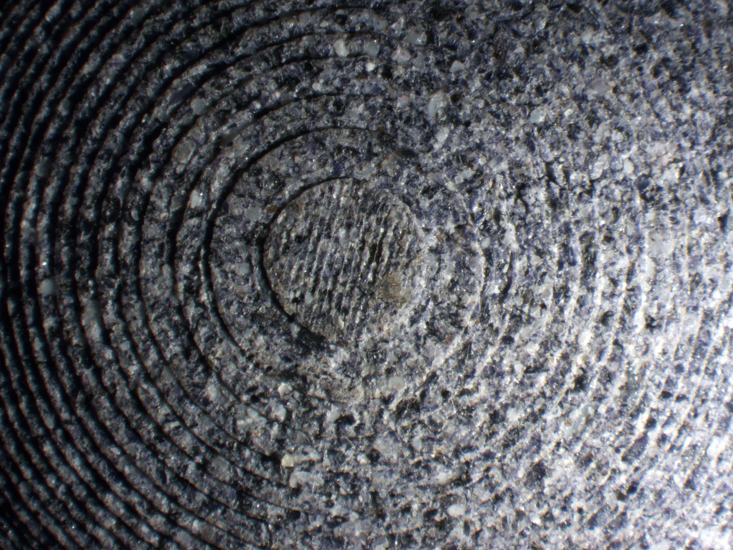 /Microscopic%20imaging%20400x%20magnification%20showing%20intricate%2C%20tightly%20packed%20concentric%20circles%20of%20mussel%20shell%20biomaterial%20in%20the%20bottom%20exterior%20of%20Shellf%20Life%20Bowl.