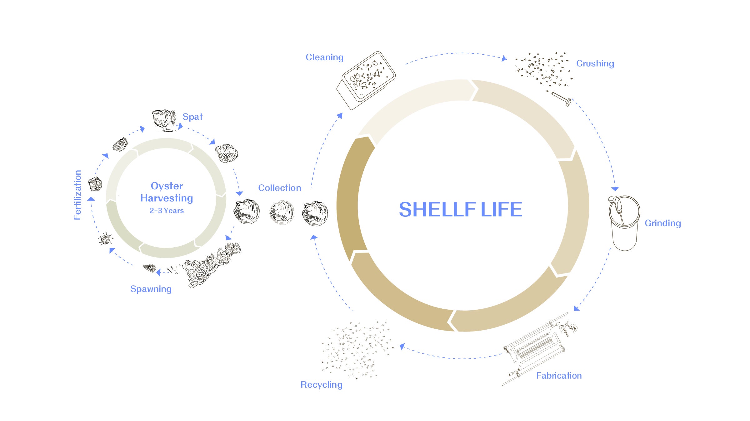 /Diagram%20illustrating%20the%20life%20cycle%20of%20oyster%20shells%2C%20from%20harvesting%20to%20processing%20stages%20like%20cleaning%2C%20crushing%2C%20grinding%2C%20and%20fabrication%2C%20before%20being%20recycled%20and%20returned%20to%20the%20earth%20as%20food.