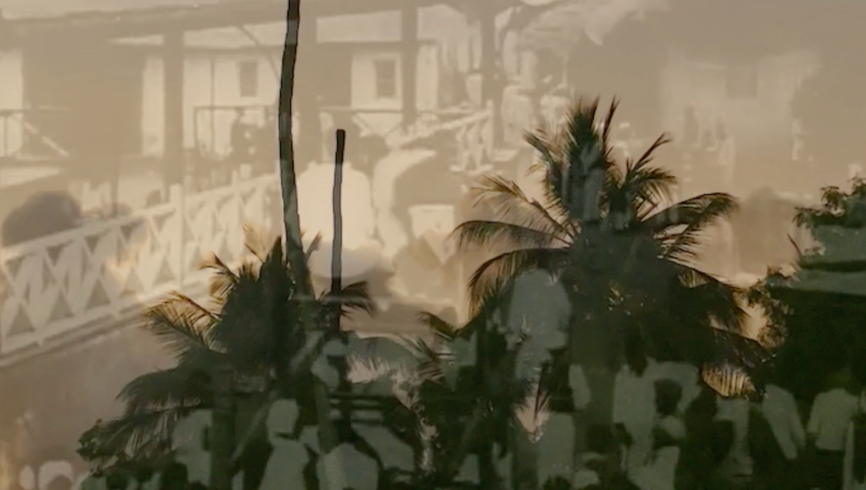 Screenshot from Ndota Cha Ndani installation. Sillhouette of palm trees during sunset with faint imagery fading in the background
