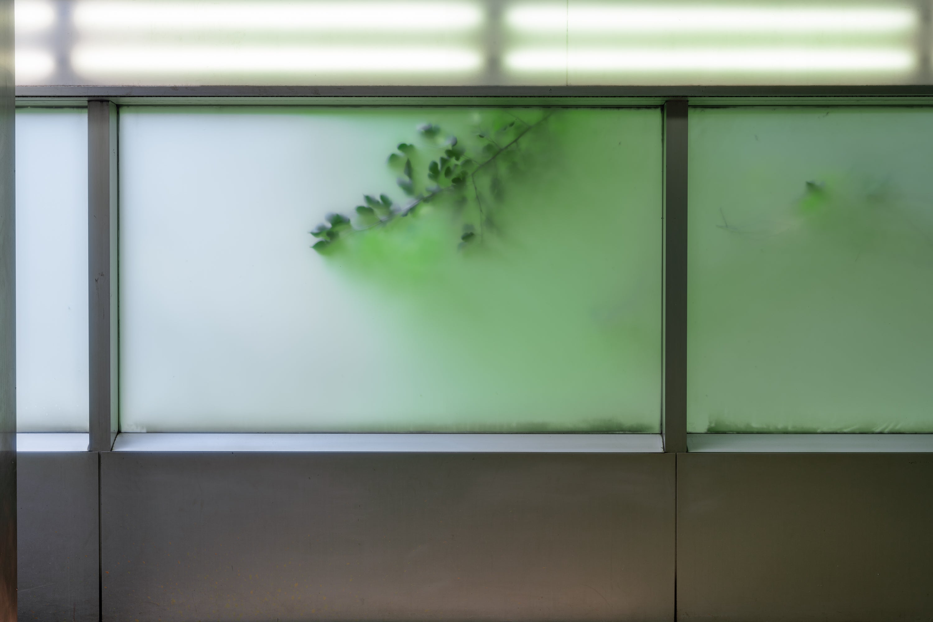 /Green%20leaves%20in-between%20the%20subway%20station%20and%20highway.