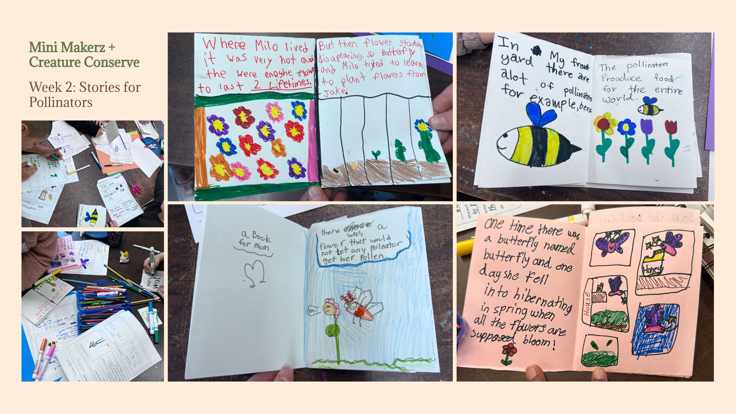 Collage: Examples of student zines showcasing stories about pollinators, alongside images of students engaged in the art-making process.