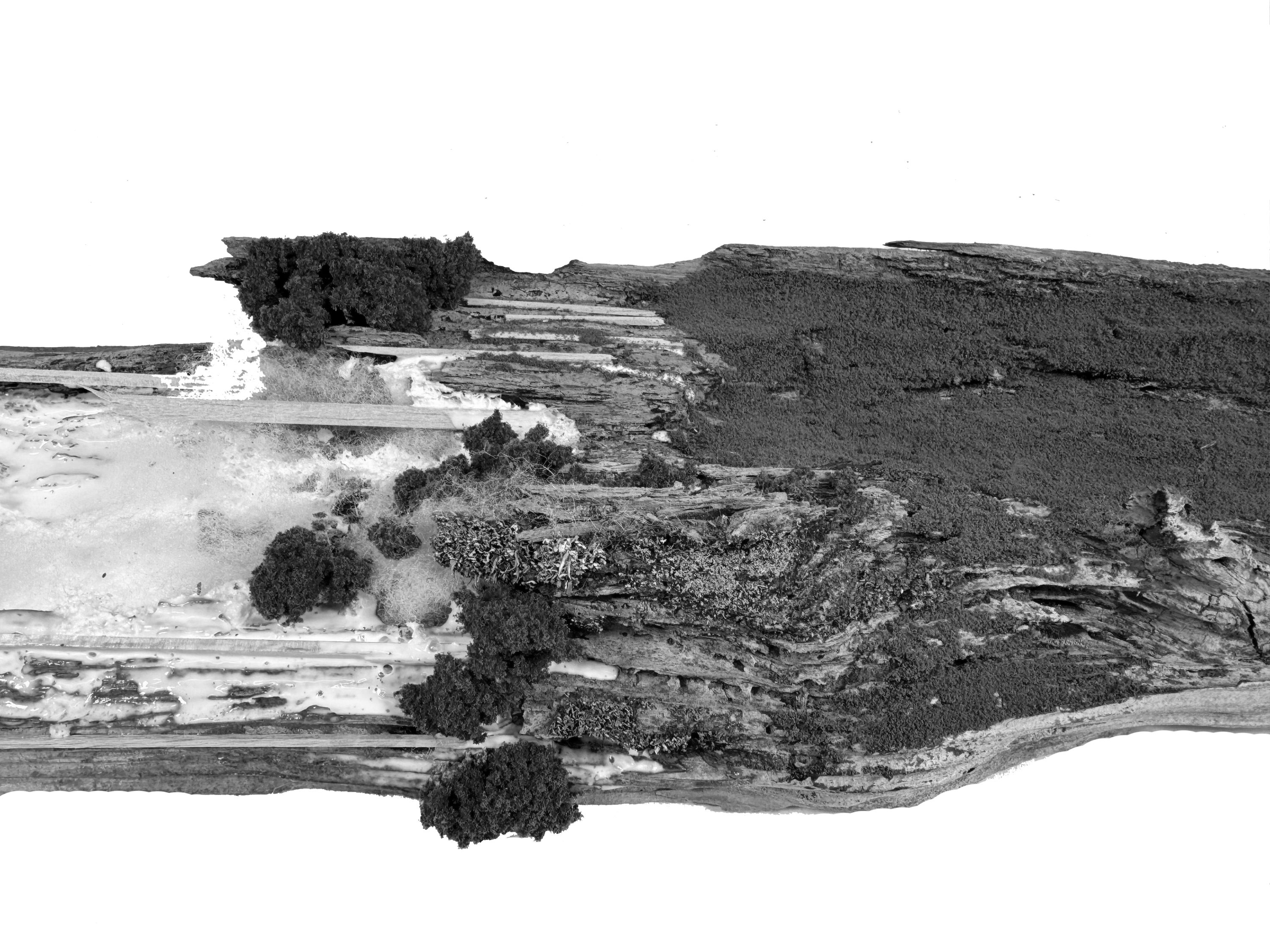 Design Concept Model