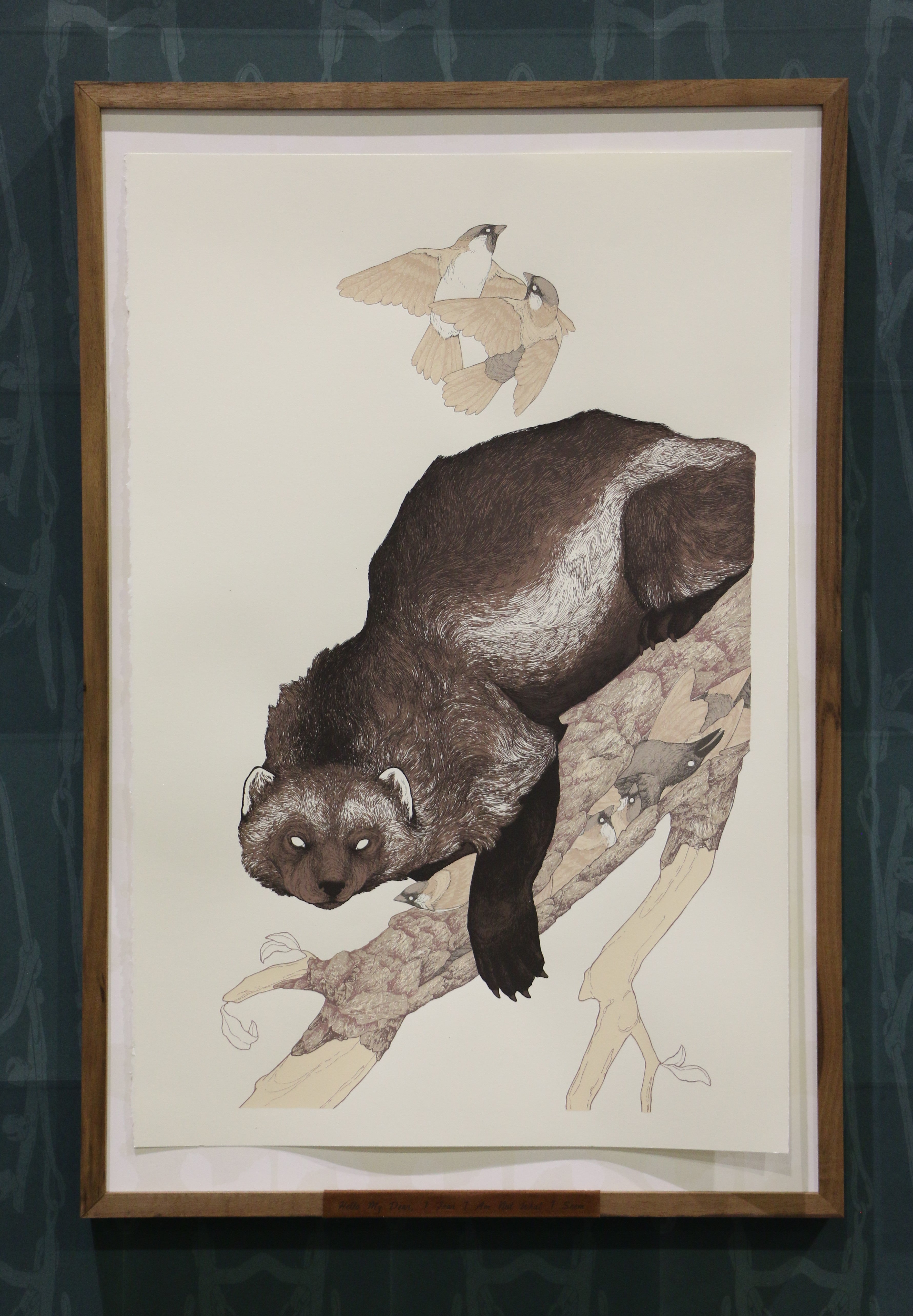/Screen%20print%20of%20a%20wolverine%20on%20tree%20branch%2C%20with%20sparrows%20above%20and%20below