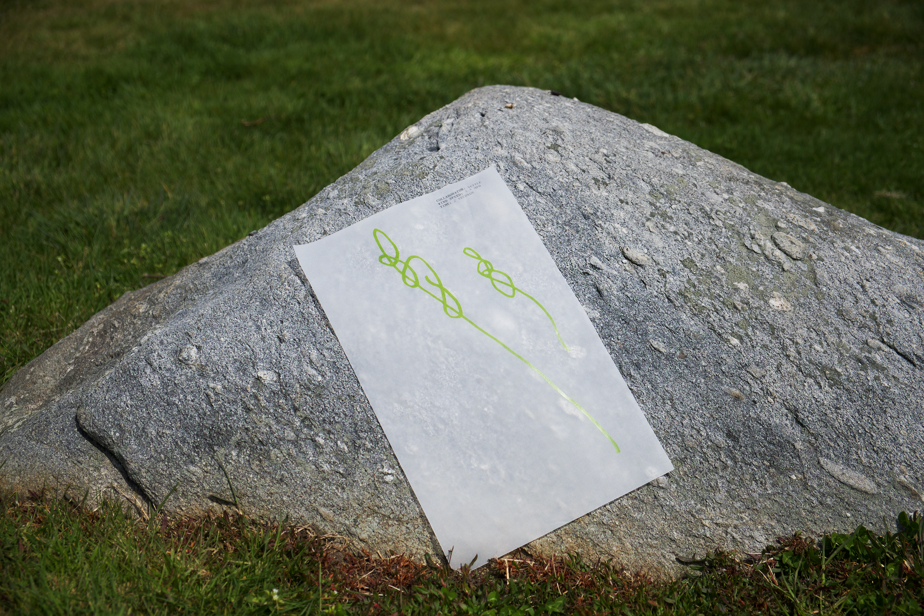 /A%20drawing%20of%20two%20scrolling%20lines%20resting%20on%20a%20rock.%20