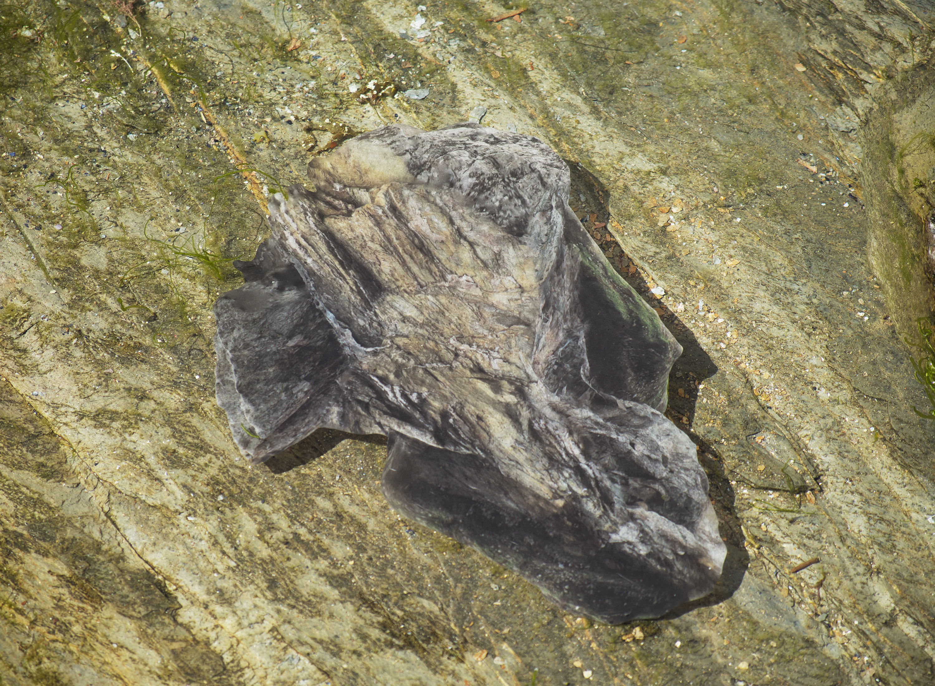 /A%20digital%20print%20of%203D%20scanned%20rocks%20is%20photographed%20ontop%20of%20a%20tide%20pool.%20
