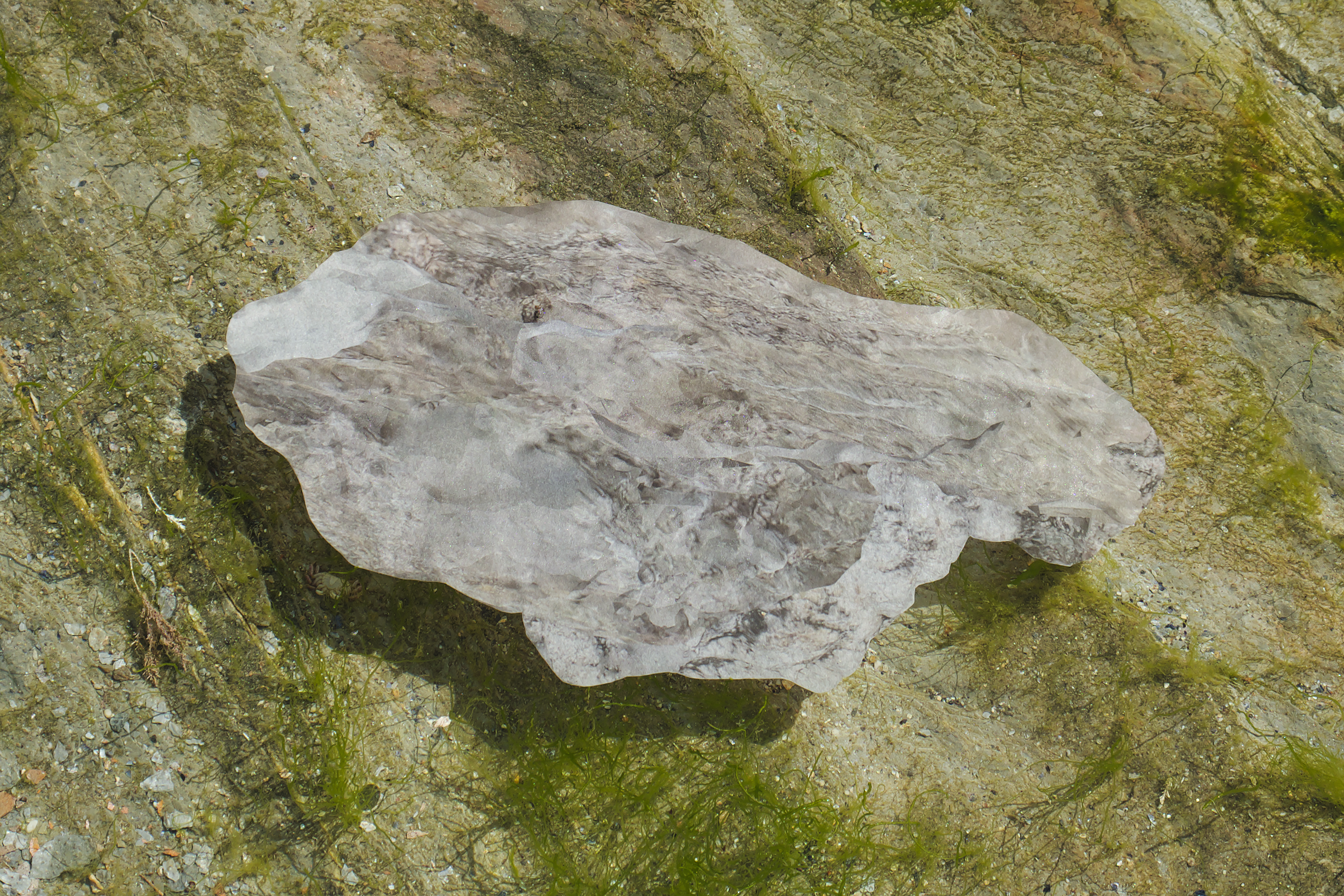 /A%20digital%20print%20of%203D%20scanned%20rocks%20is%20photographed%20ontop%20of%20a%20tide%20pool.%20