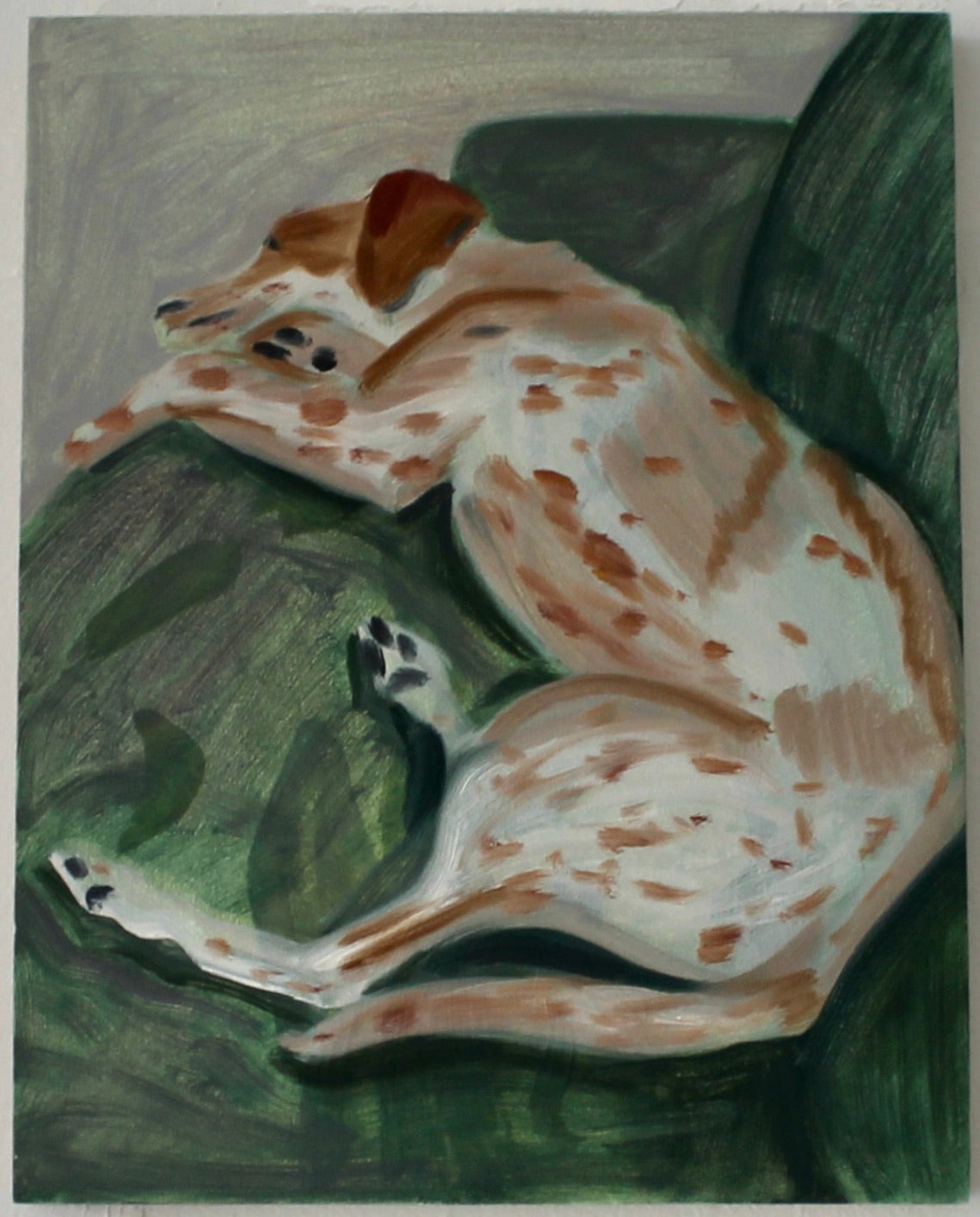 /A%20dog%20sleeps%20on%20a%20green%20couch.