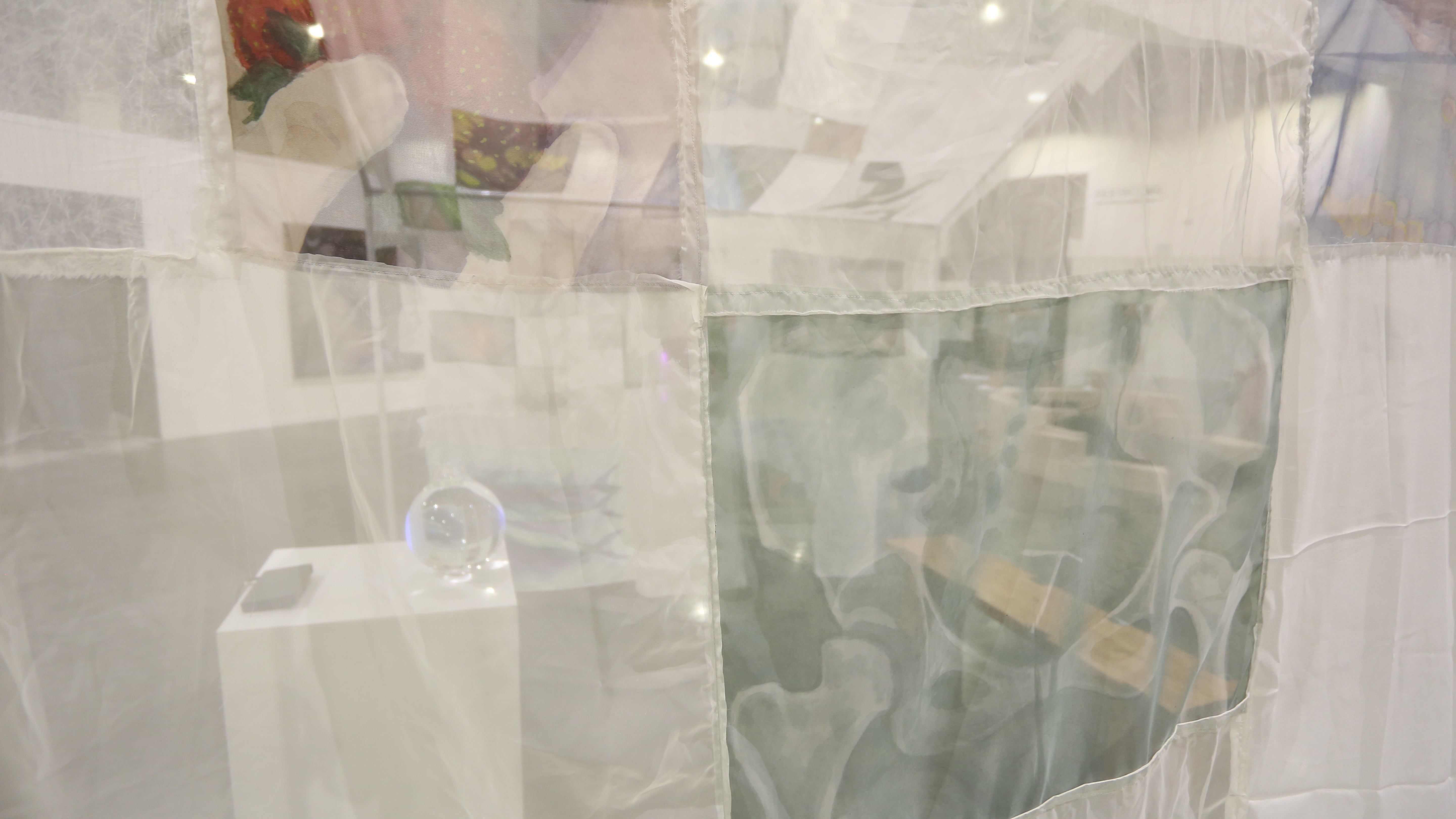 /Paintings%20on%20transparent%20fabric