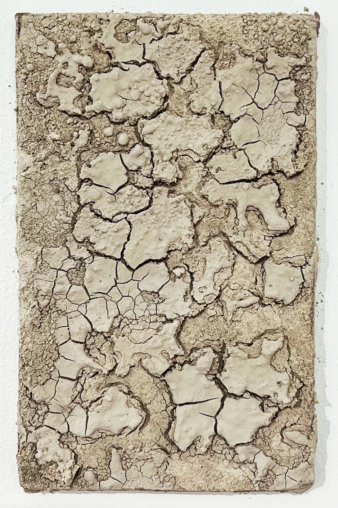 Beige clay tile with a heavily cracked and rough surface texture