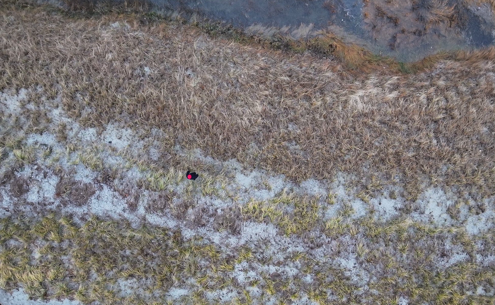 /Drone%20footage%20of%20a%20person%20walking%20on%20a%20salt%20marsh.