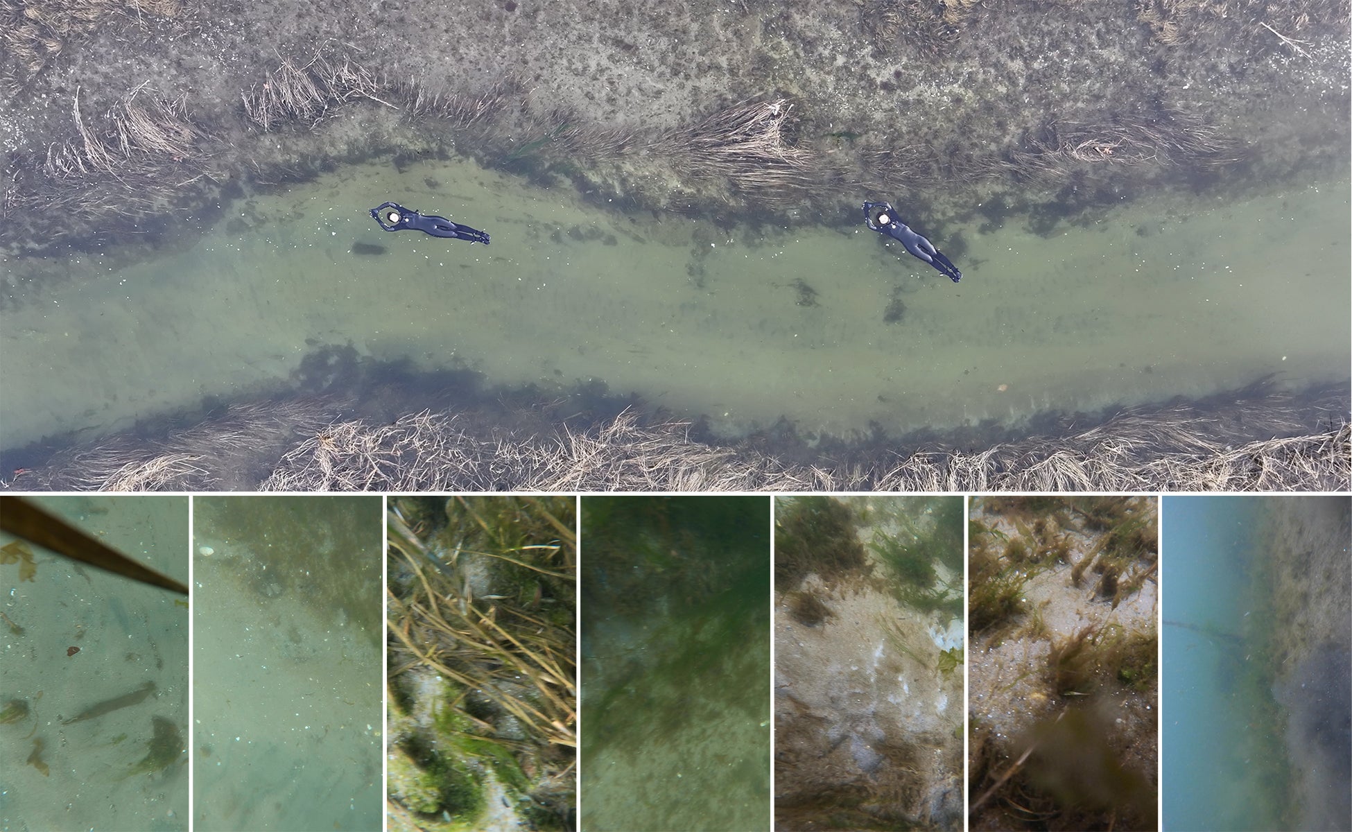 /People%20floating%20in%20a%20body%20of%20water.%20Textures%20from%20GoPro%20footage%20underwater.
