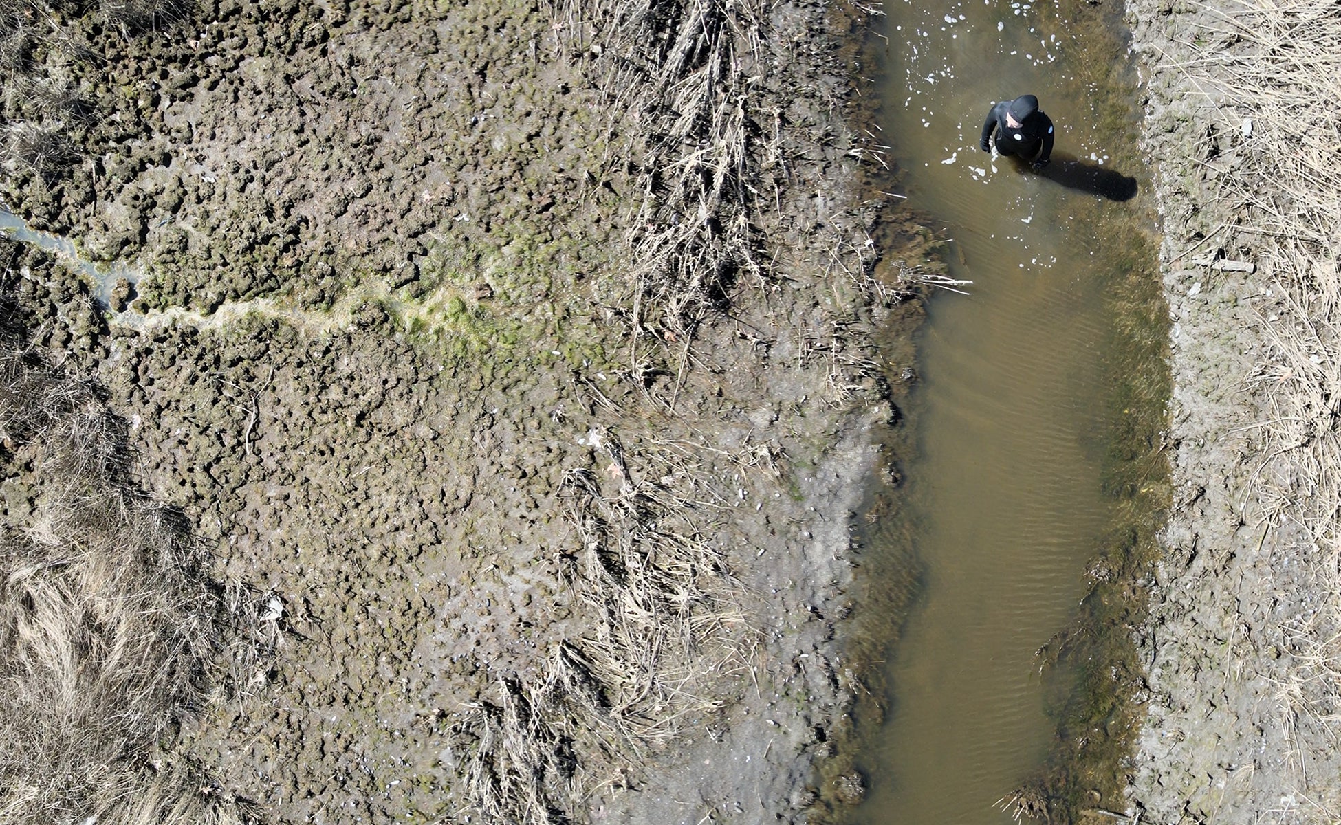 /Drone%20footage%20of%20person%20standing%20in%20the%20middle%20of%20a%20salt%20marsh%20channel.