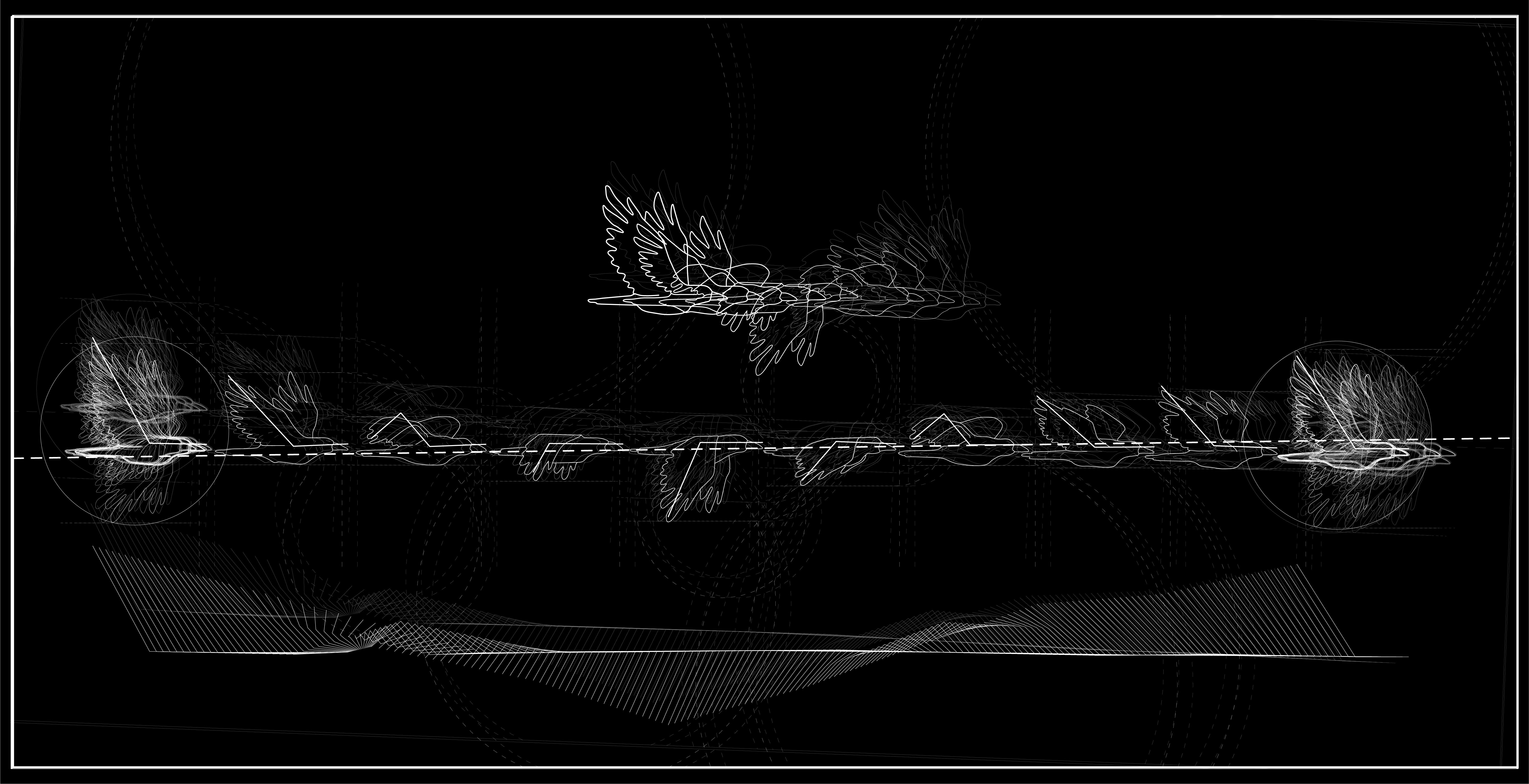 /A%20drawing%20showing%20the%20flight%20of%20a%20bird%20through%20out%20differing%20stages.%20The%20drawing%20has%20a%20black%20background%20with%20white%20line-work.