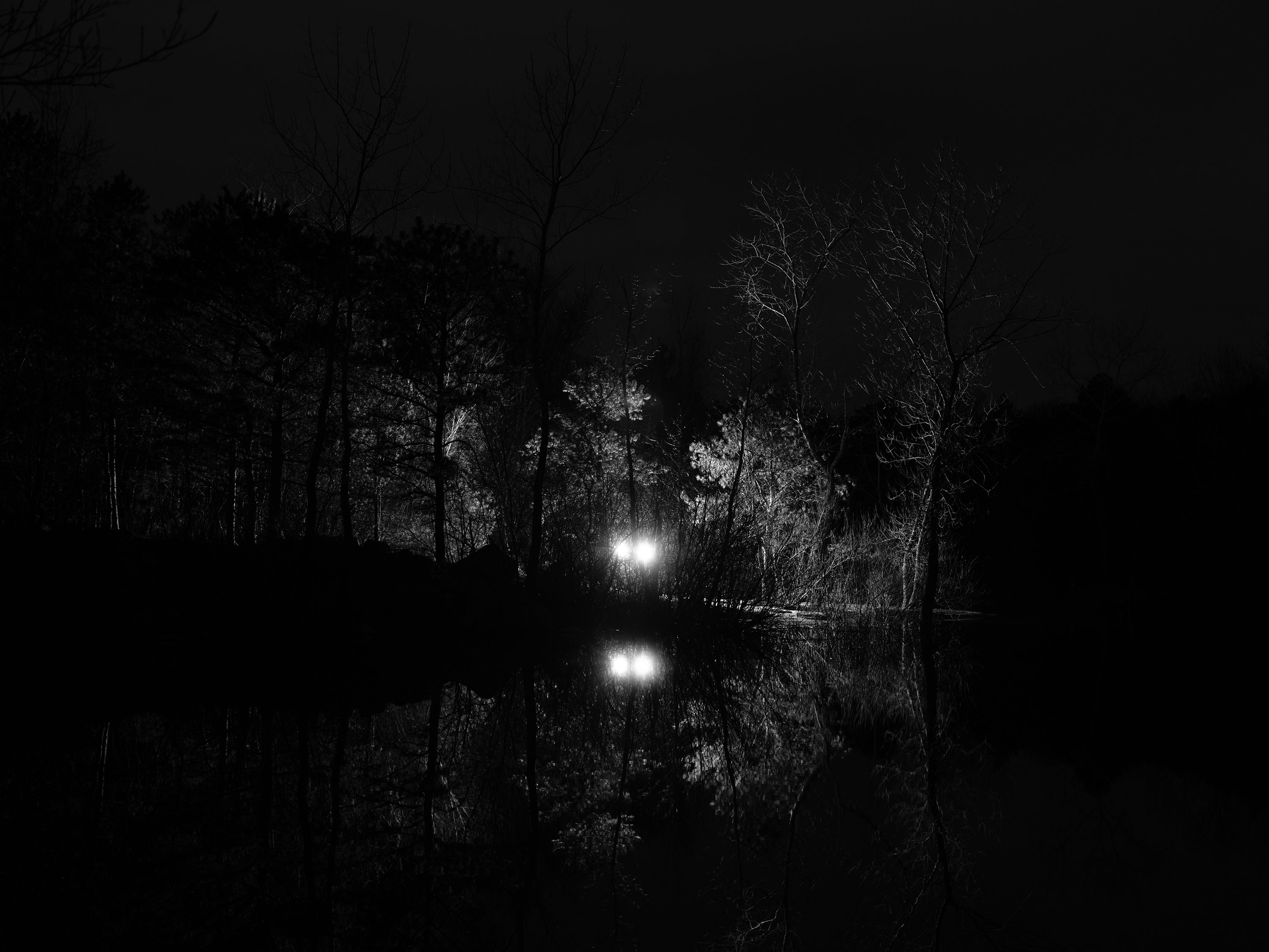 /two%20glowing%20lights%20emerging%20from%20the%20woods%20at%20night%20near%20the%20shoreline%20of%20a%20lake
