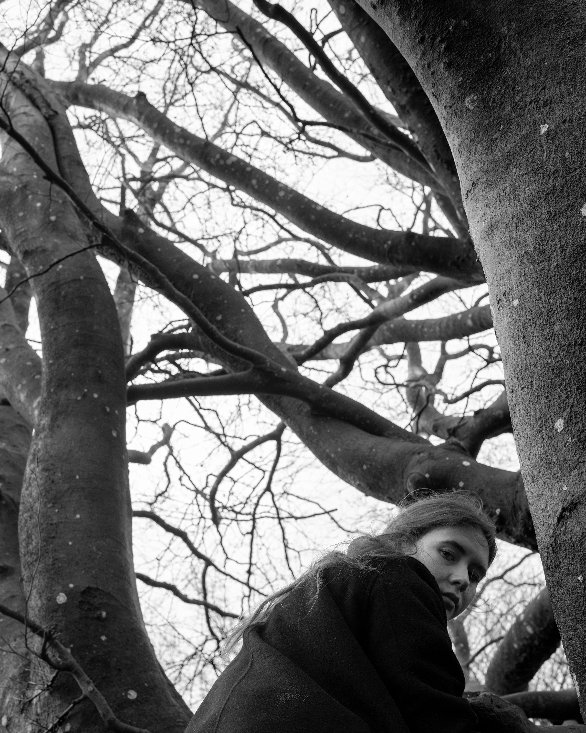 /a%20young%20woman%20looking%20down%20while%20climbing%20a%20large%20tree.