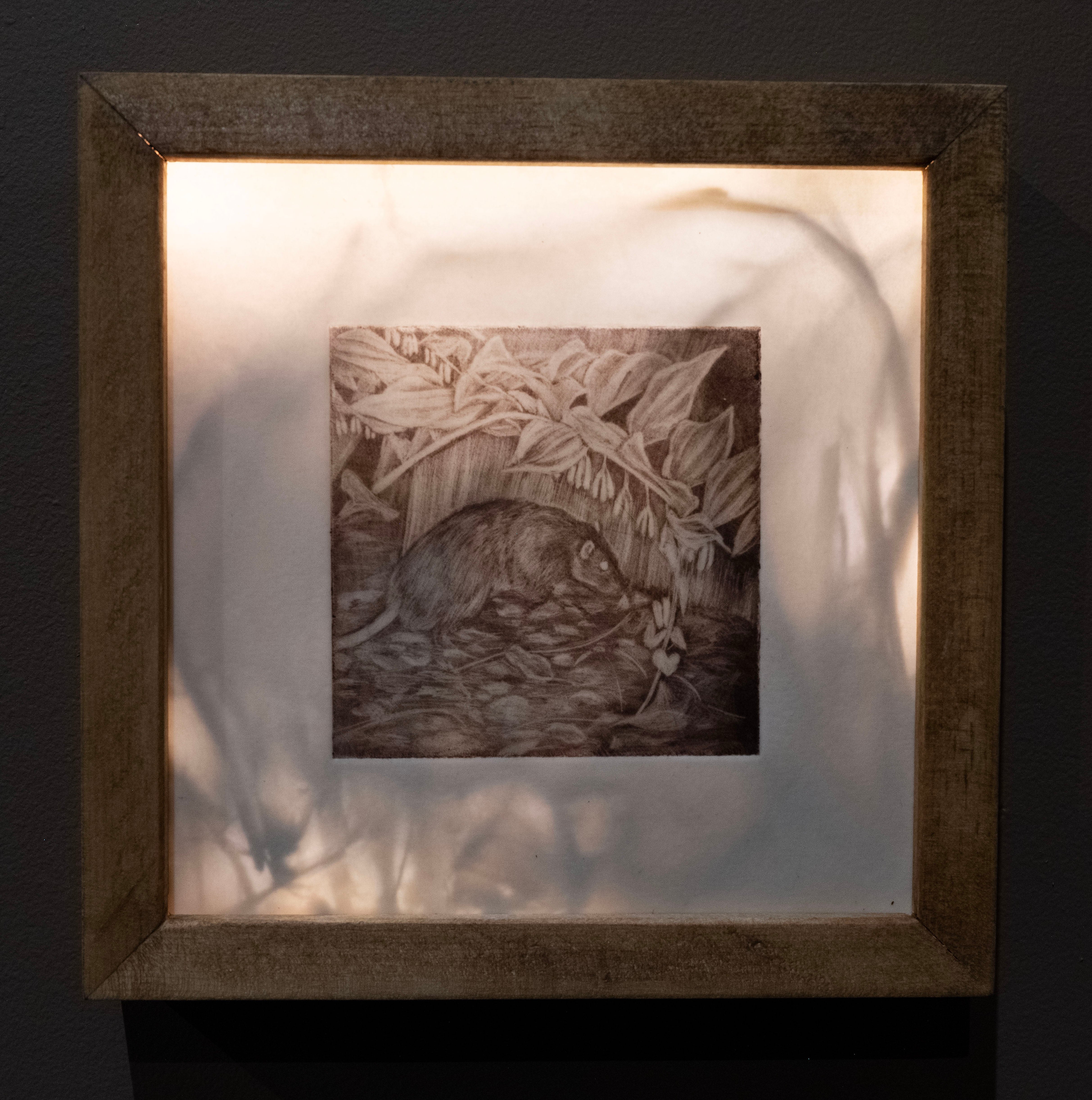 Mezzotint print and beeswax 4x4in