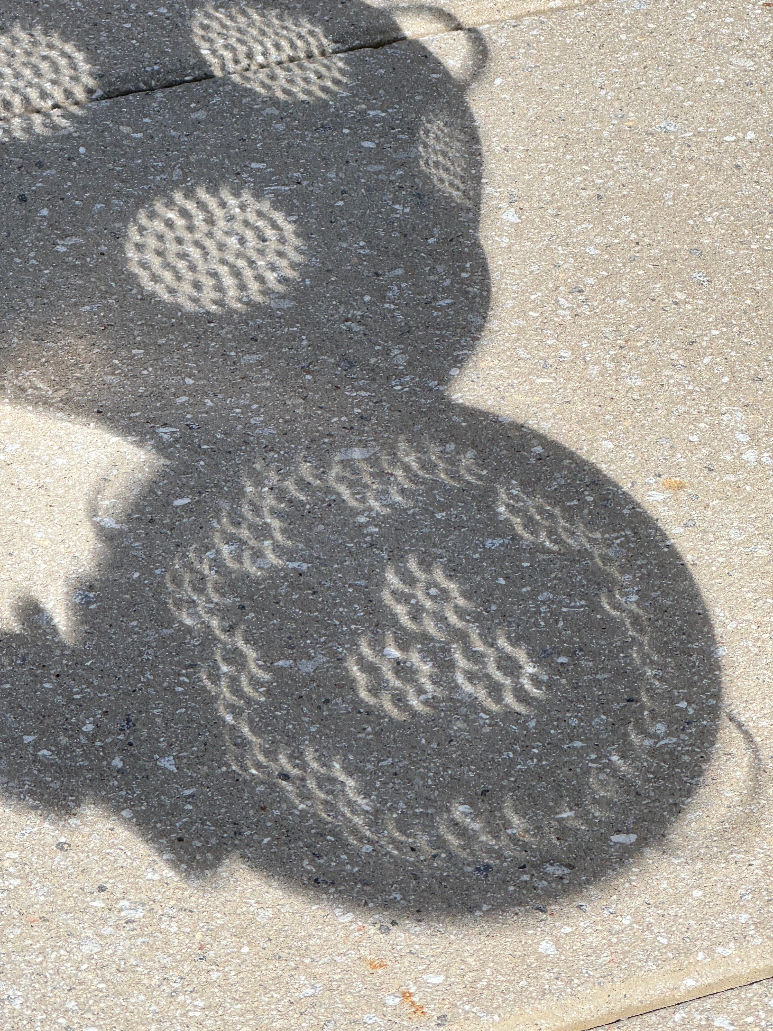 /Simulated%20dappled%20light%20with%20a%20colander%2C%20Solar%20Eclipse%204/8/2024