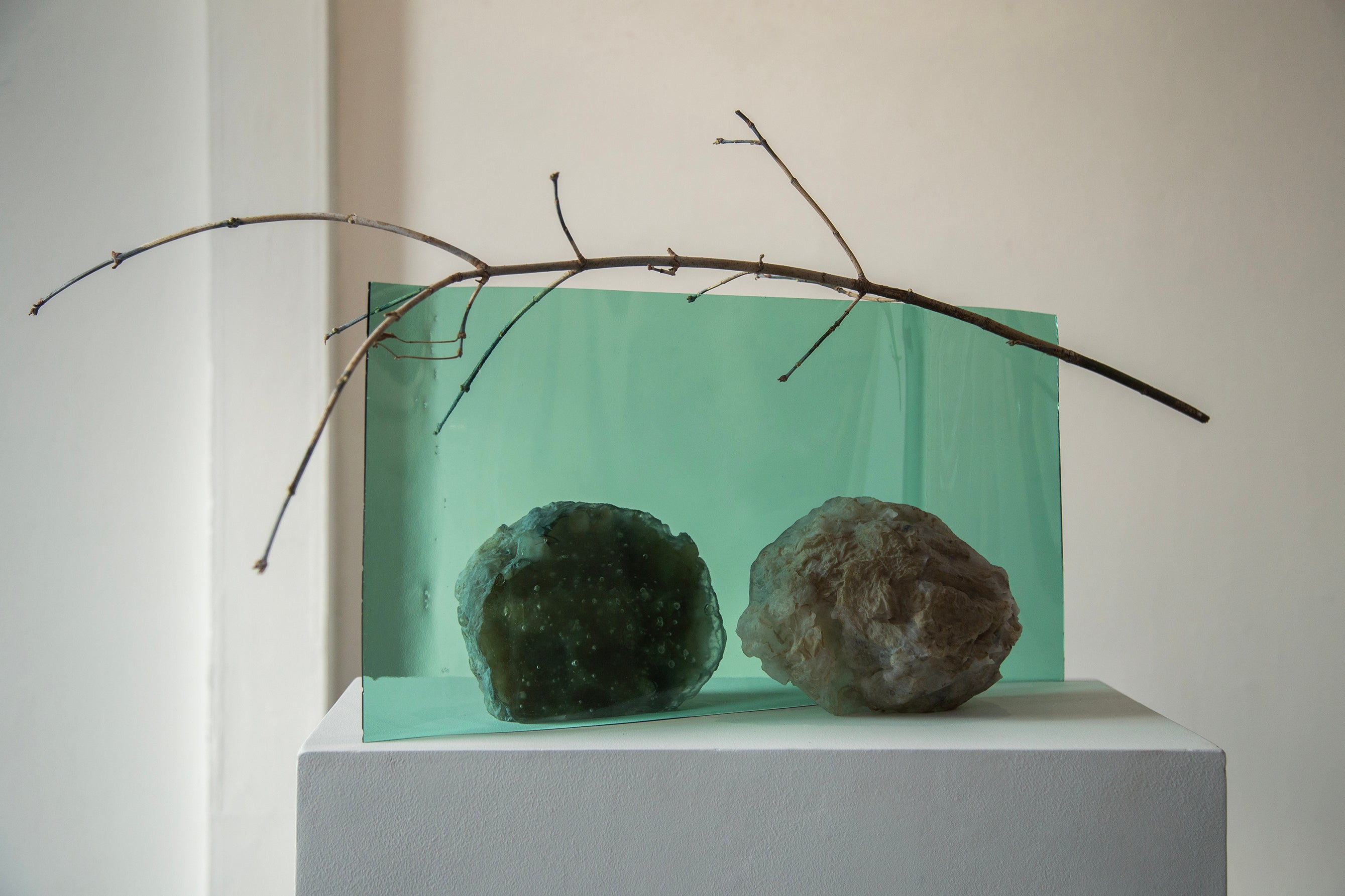 /Glass%20nest