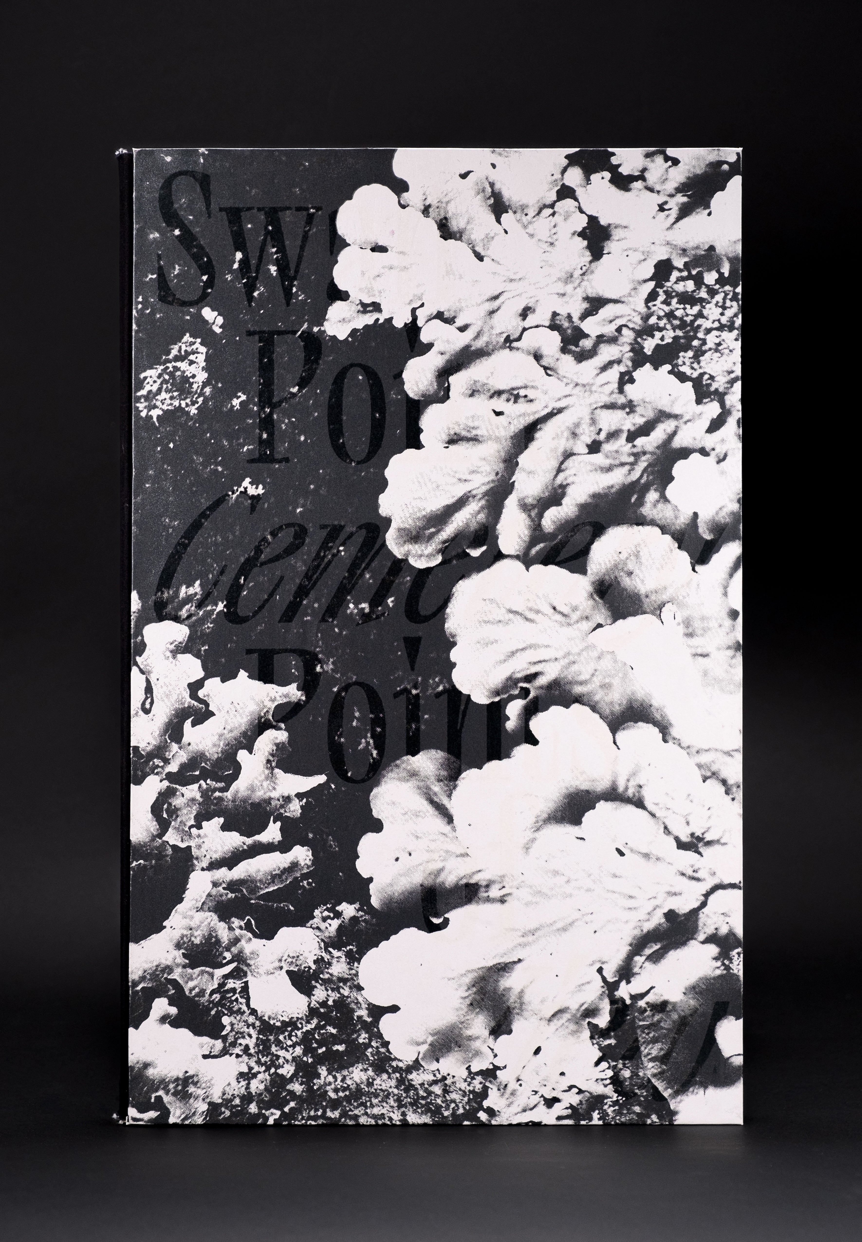 Cover with layered black text and high-contrast lichen imagery; reads “Swan Point Cemetery Points of View.”